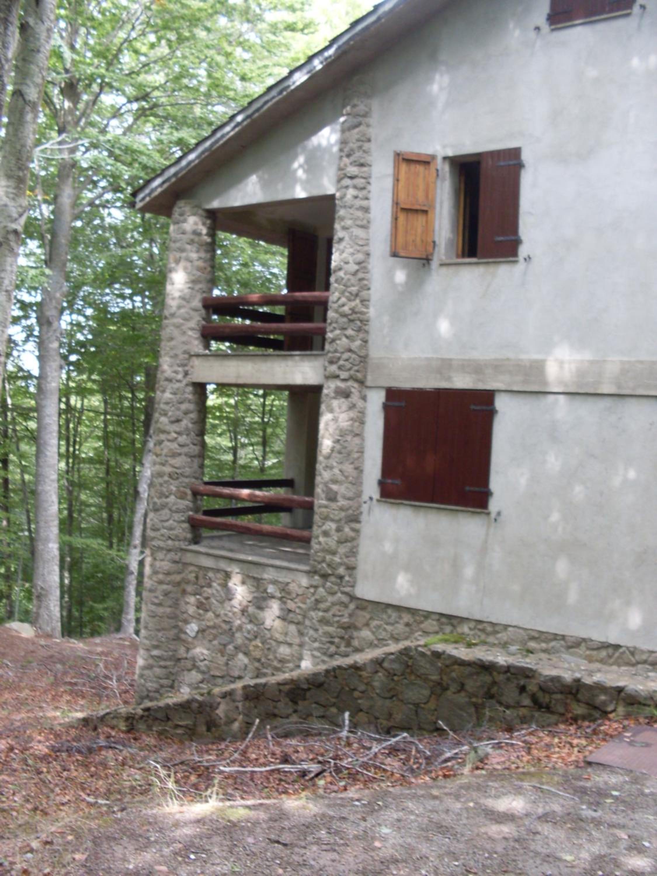 Casa nel bosco alle Macinaie view 4