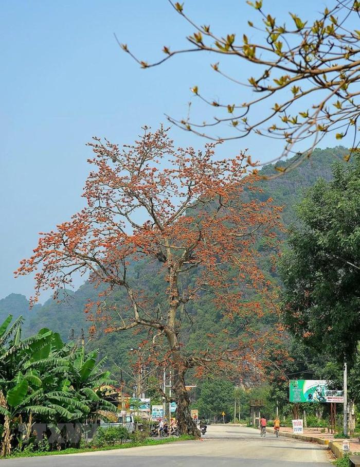 Photo 43