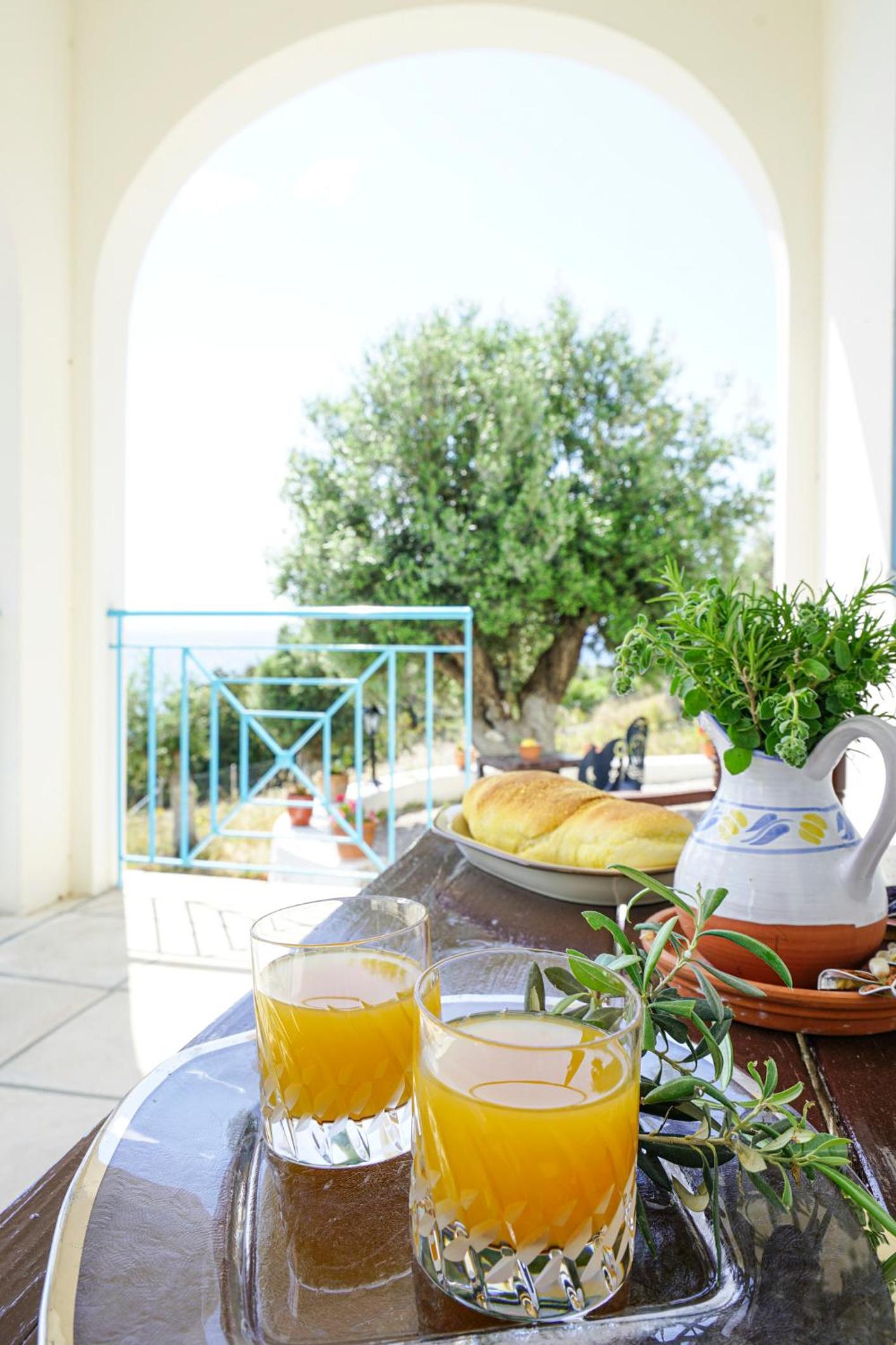 Mat Met House photo 5