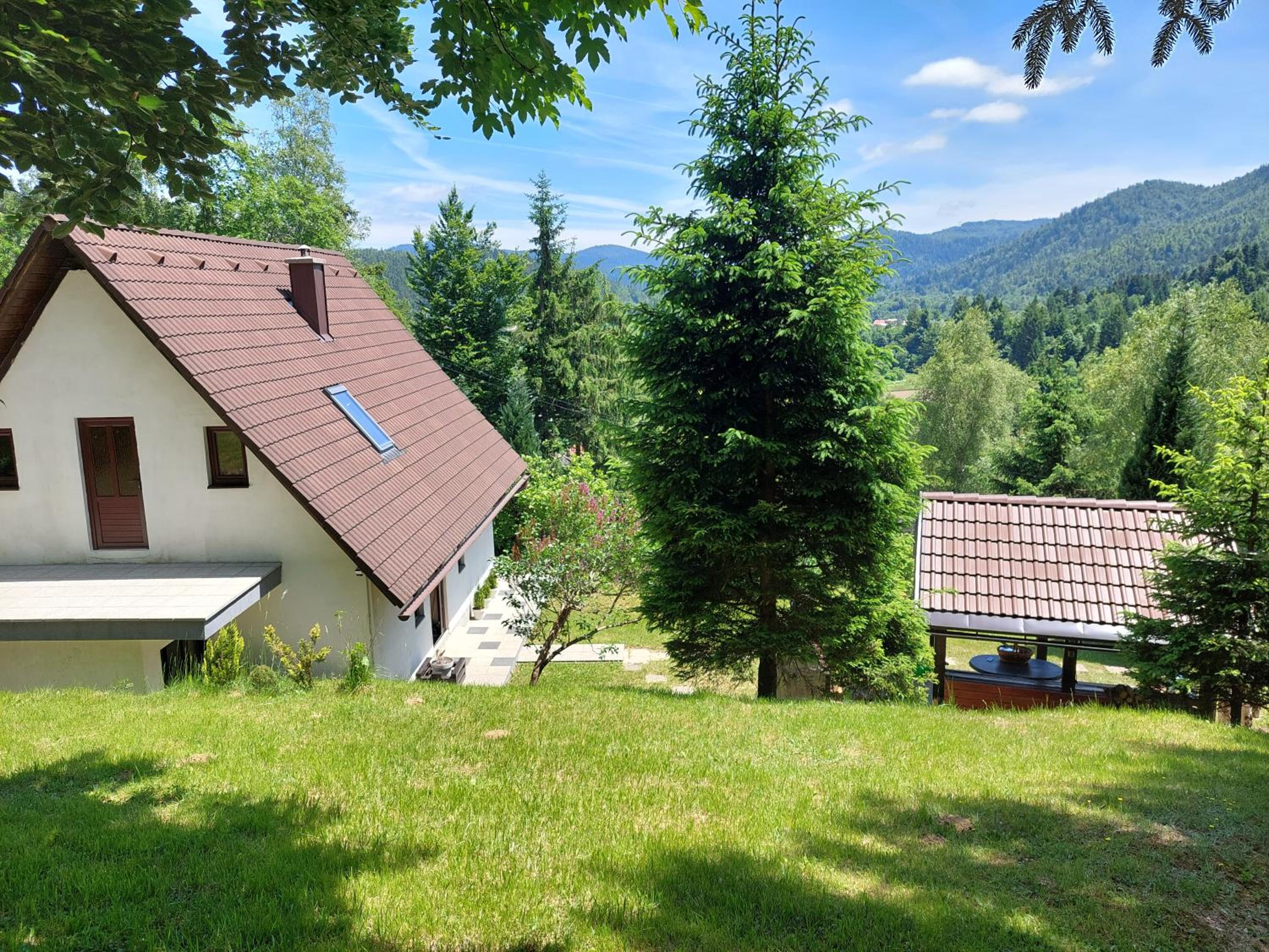Šumska idila pokraj jezera view 5