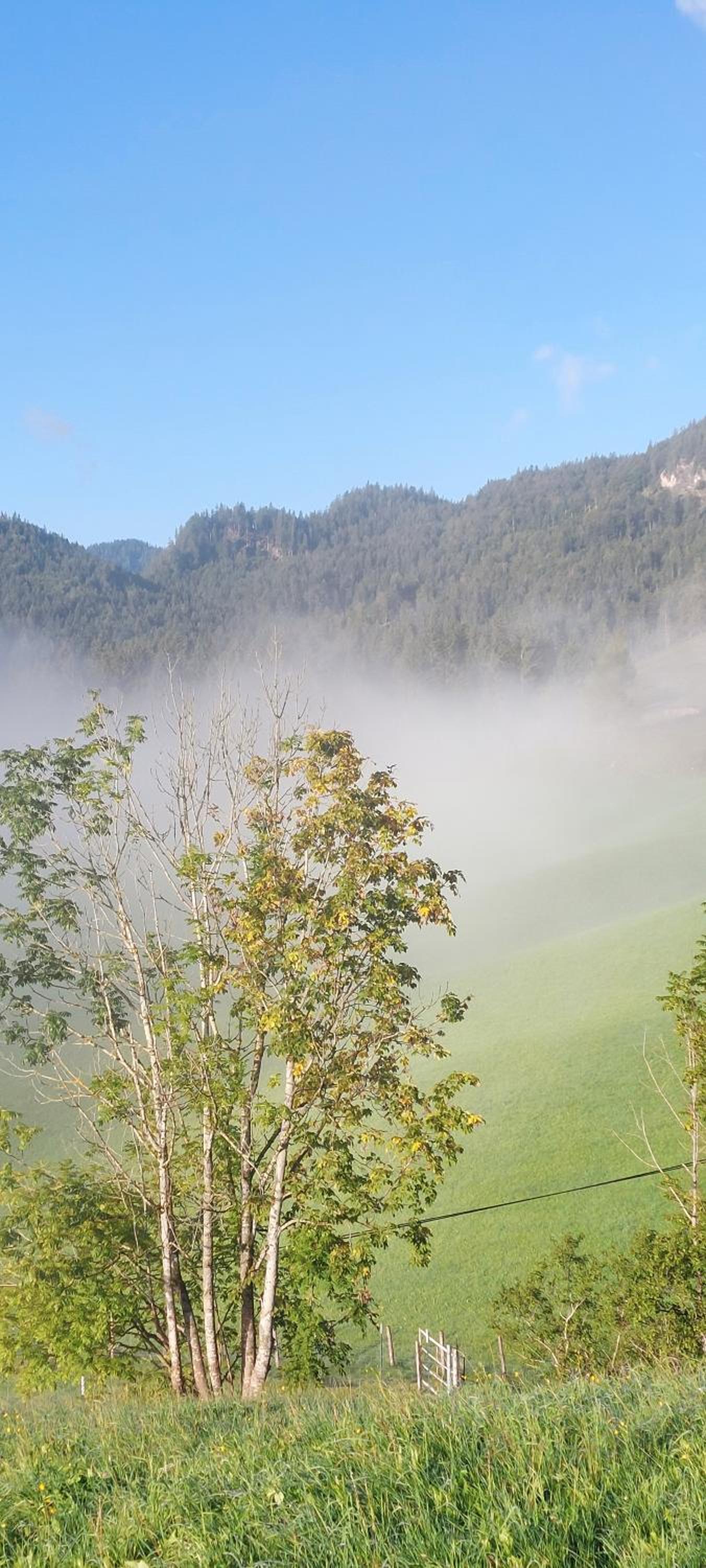 Bichlhof Riedenberg