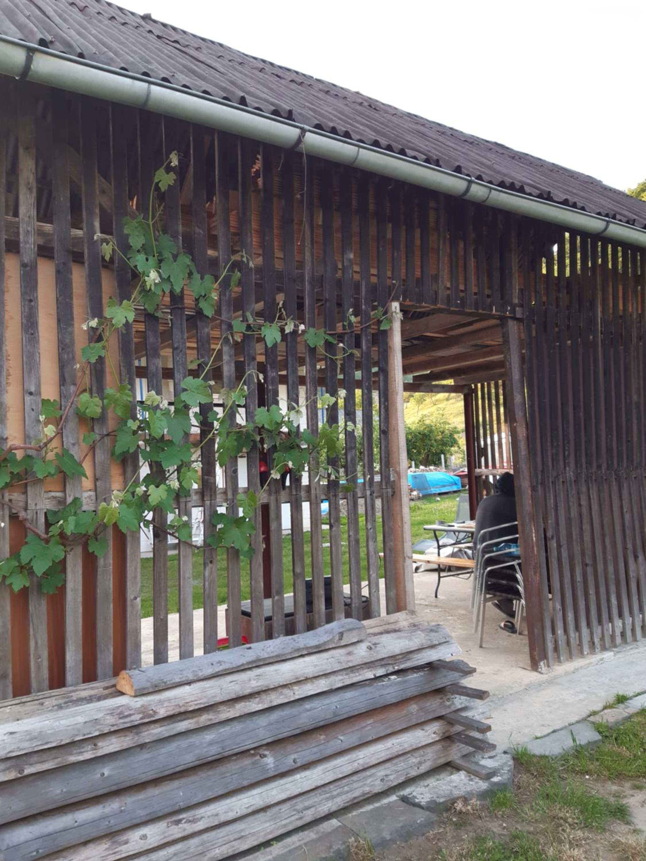 Photo 16