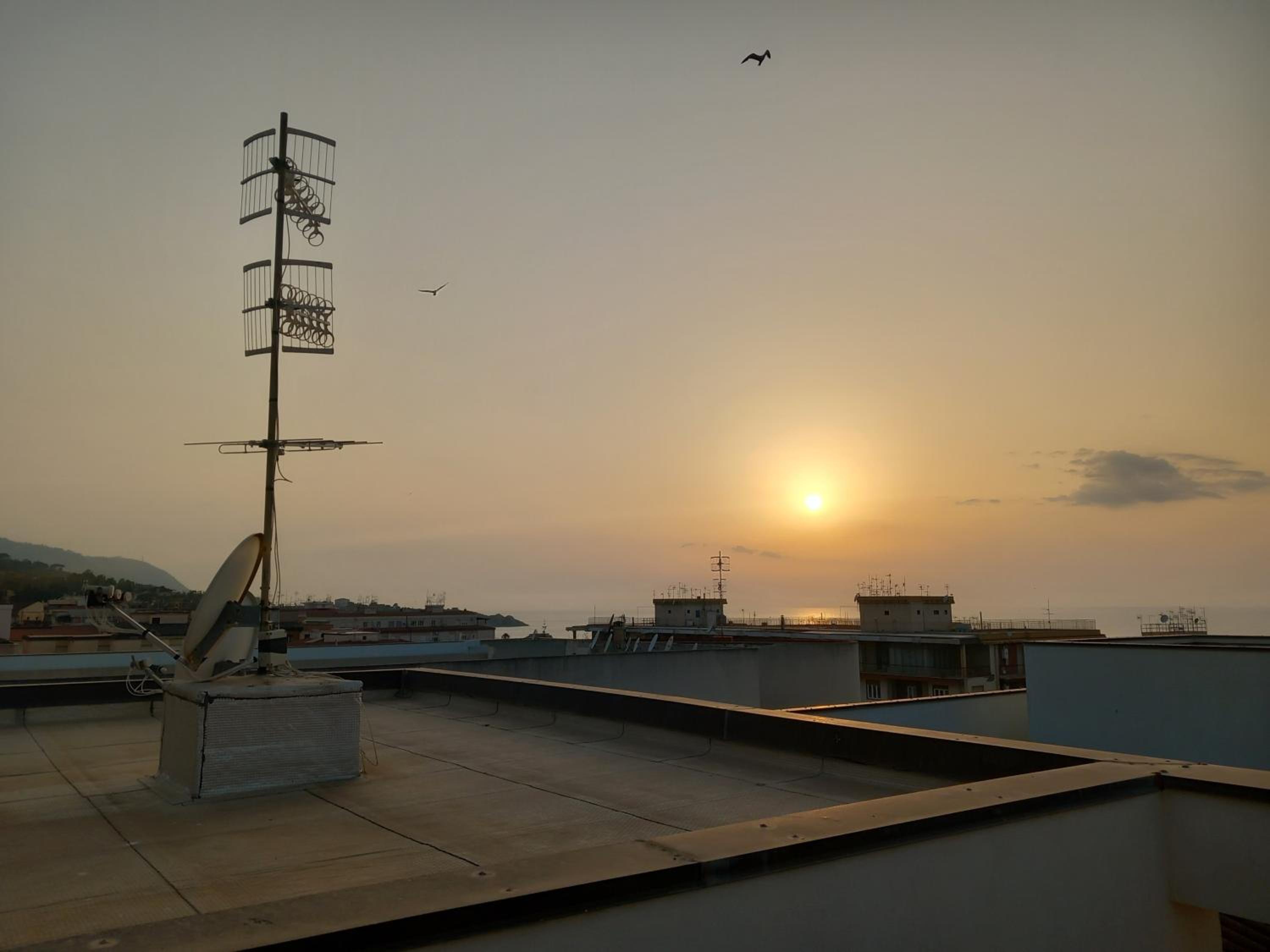 roof