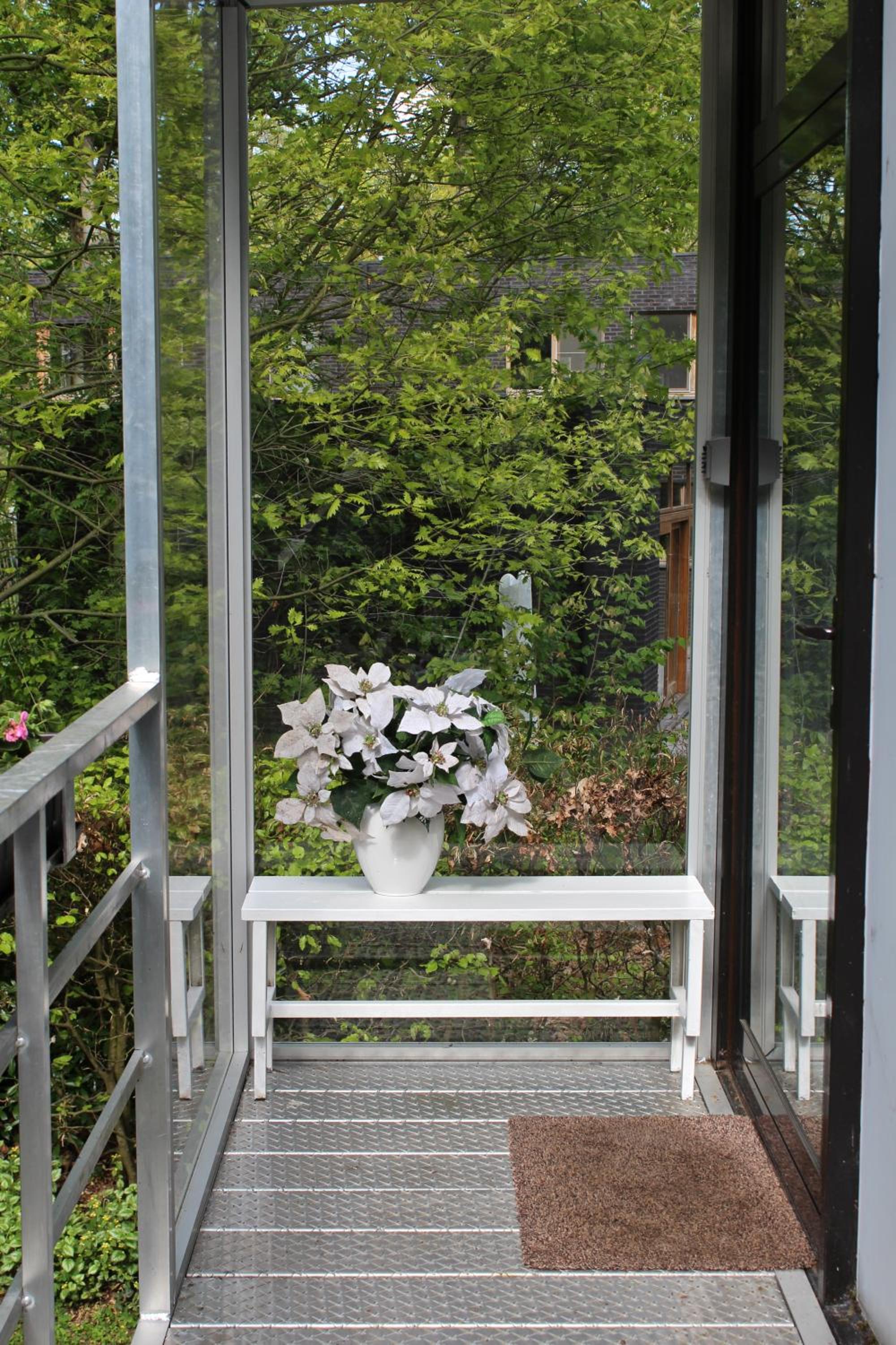 Linden-Jachthoorn, photo 40