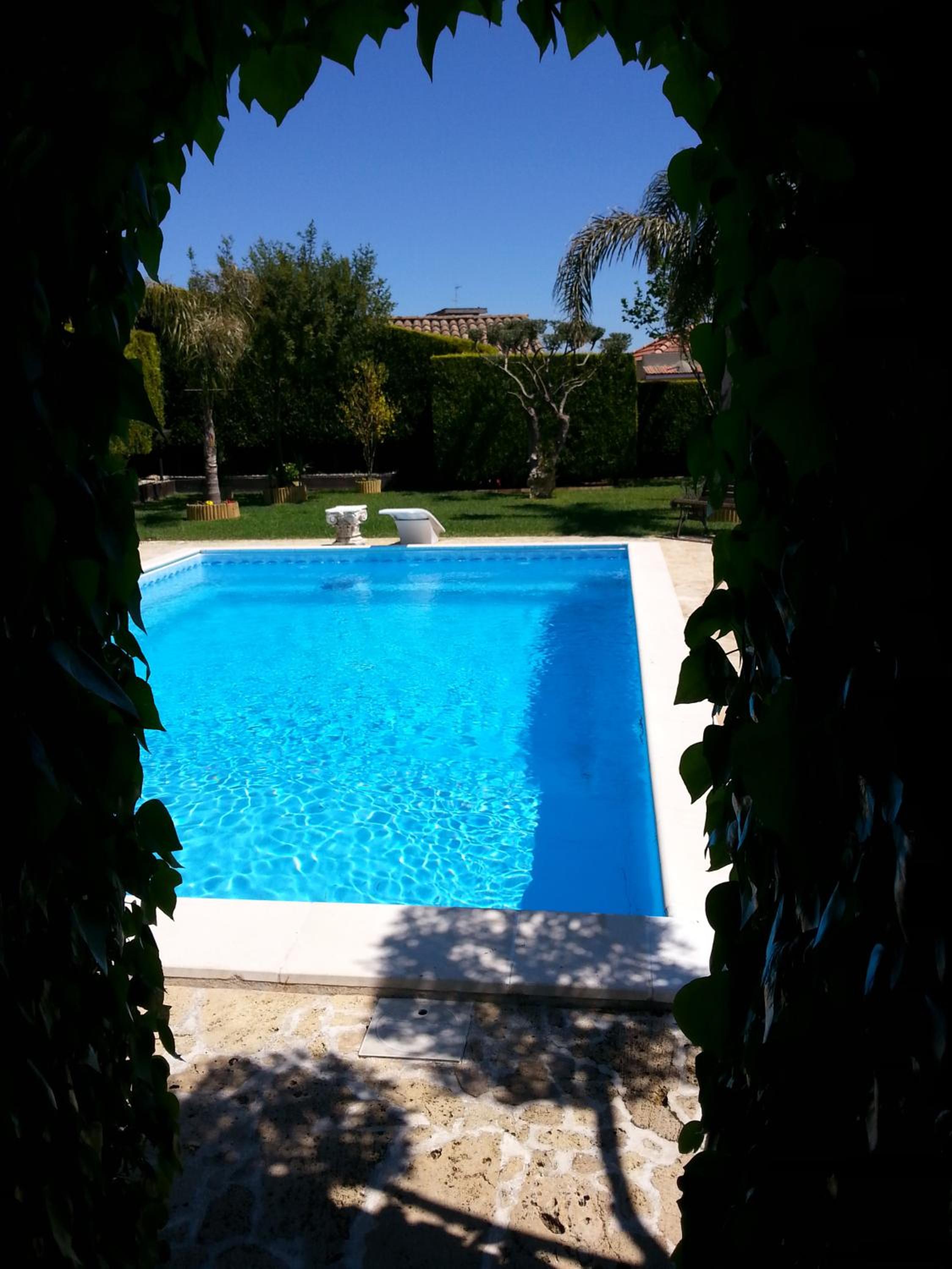 Photo 35