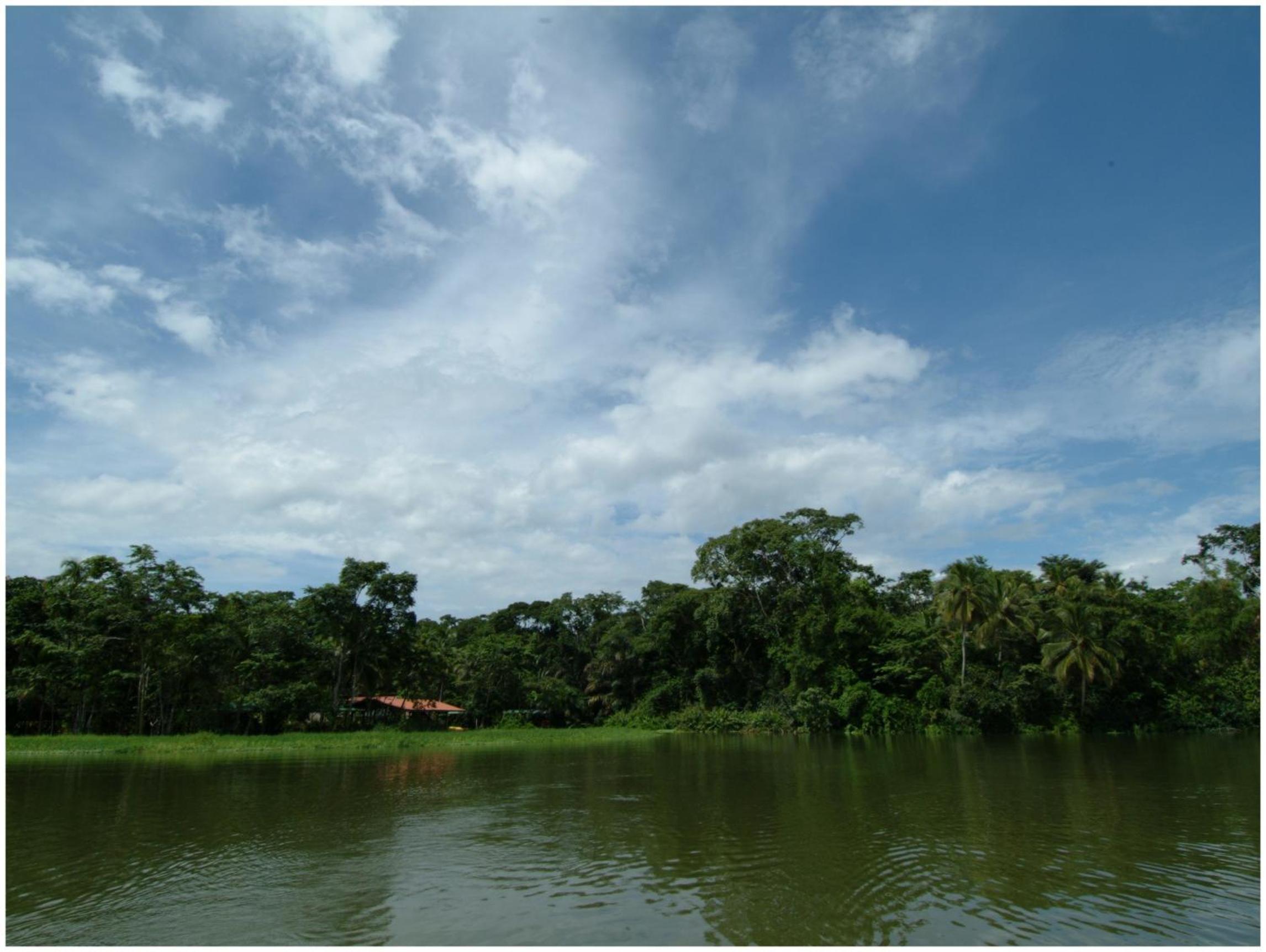 Lirio Lodge
