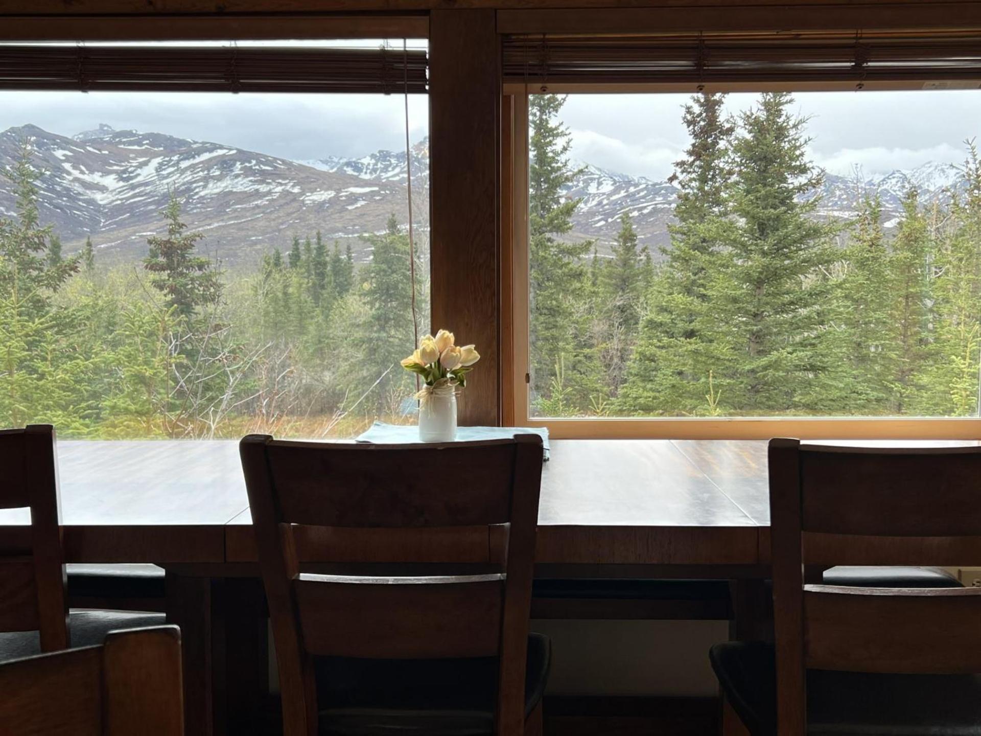 Denali Park View House view 5