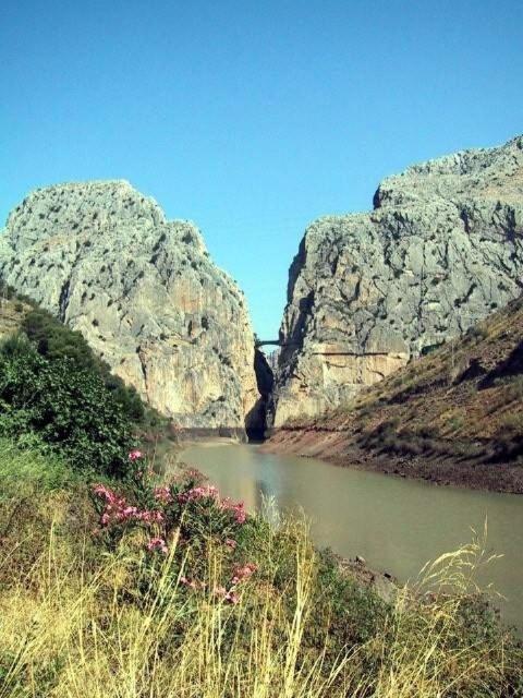 Photo 37