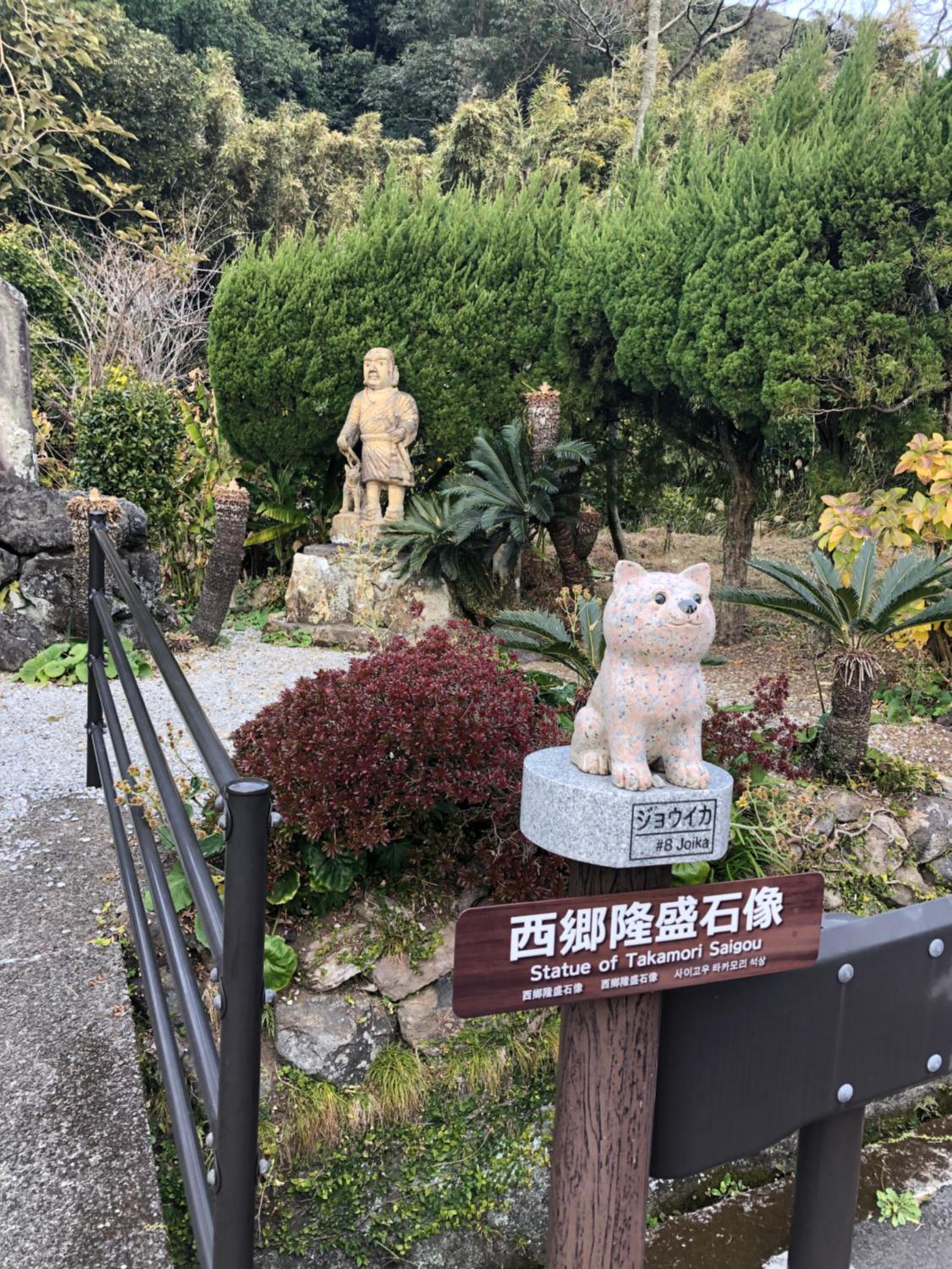 Photo 121