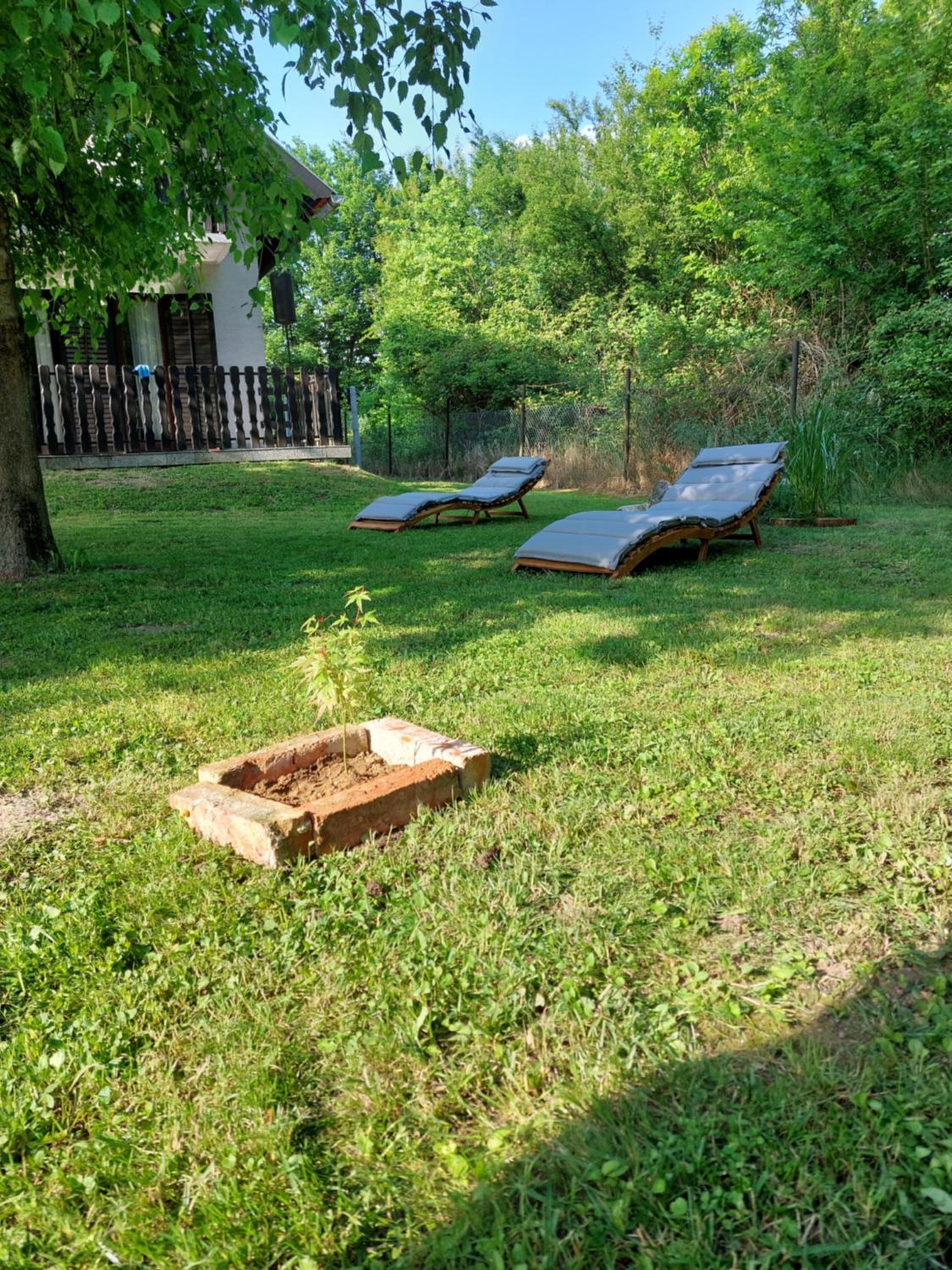 Photo 42