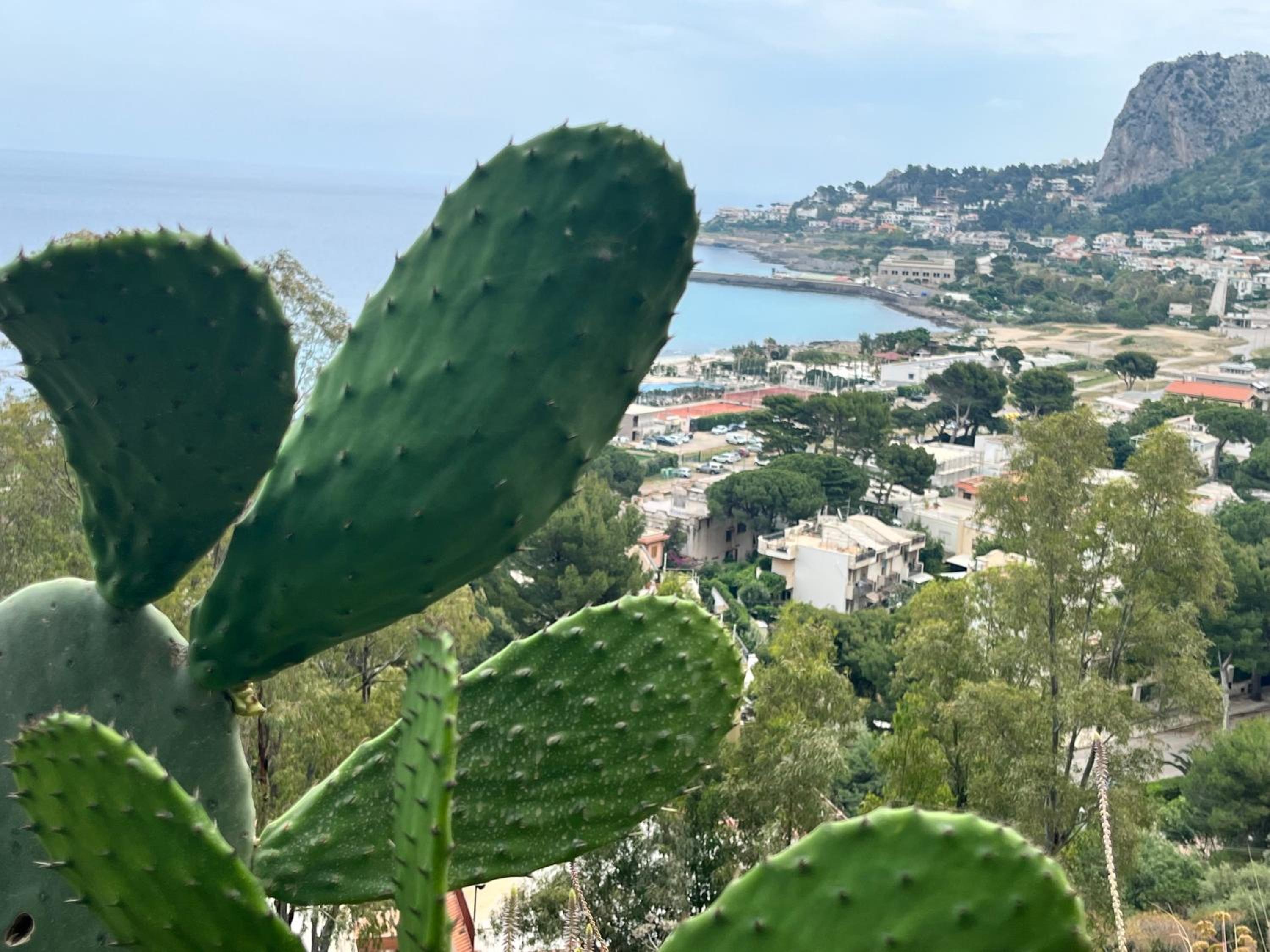 Porta Addaura view 5