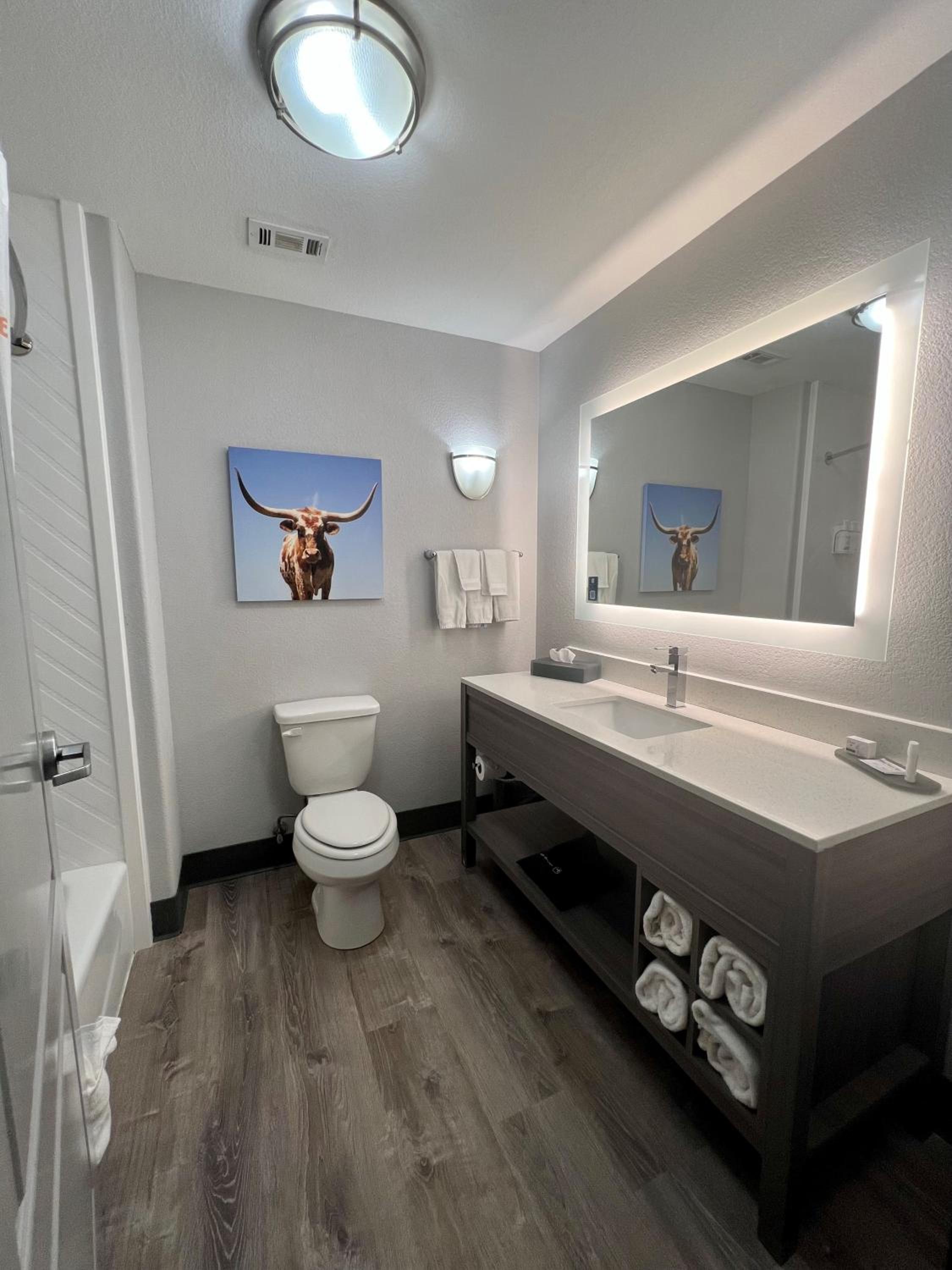 Big Spring Vacations - La Quinta by Wyndham Big Spring - Property Image 30