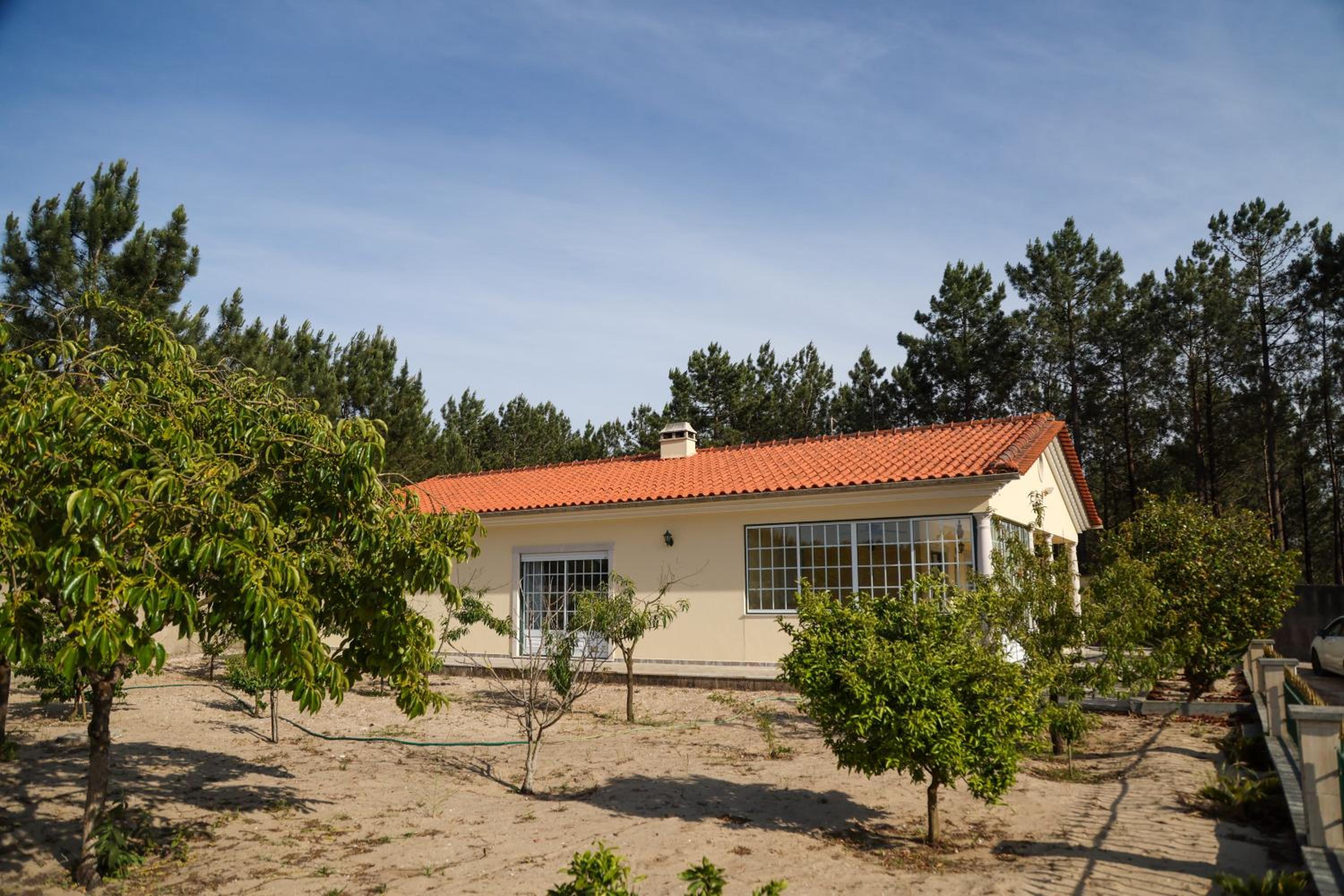 Nazaré Landscape