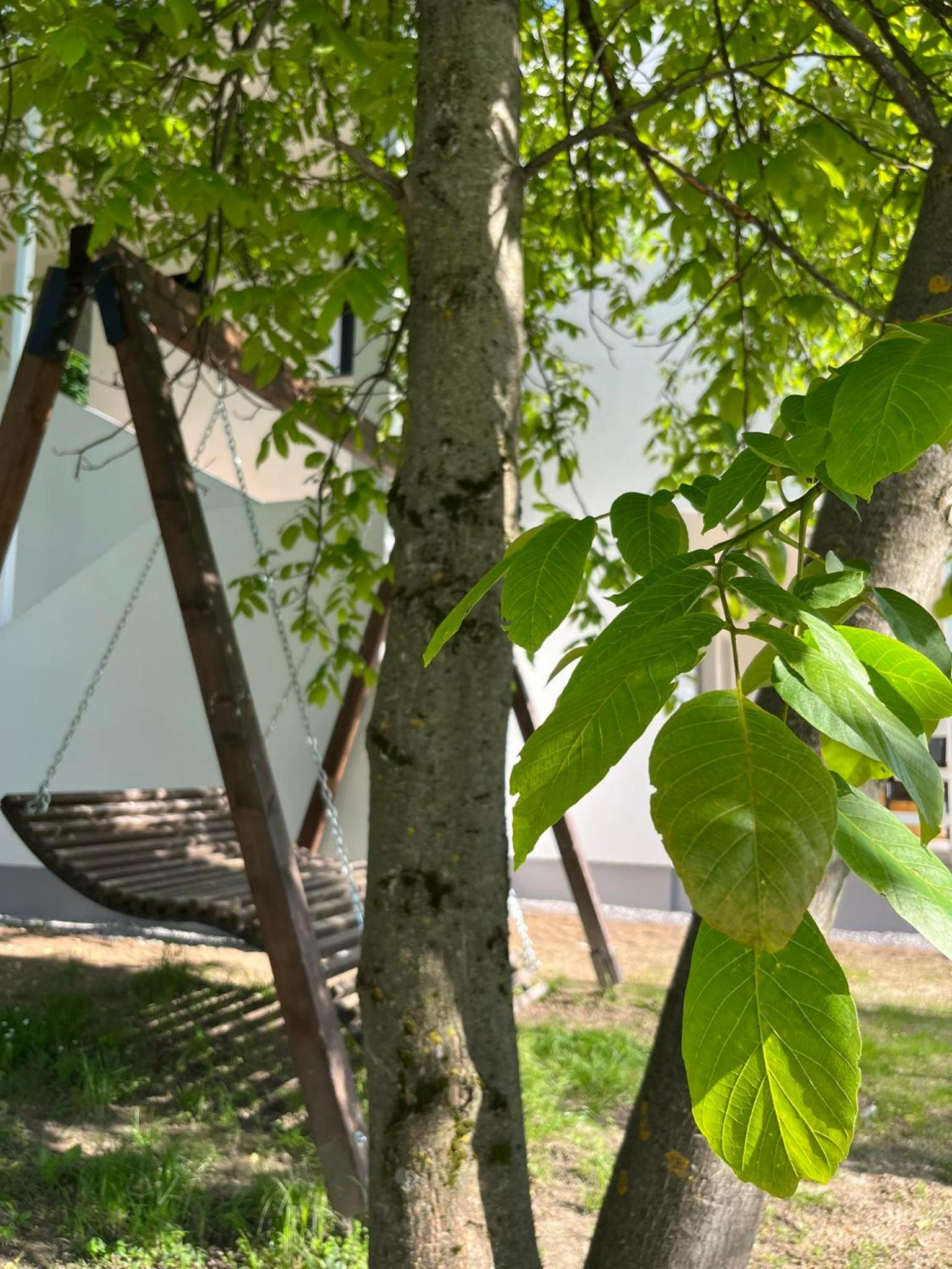 Holiday Homes Pozitiva
