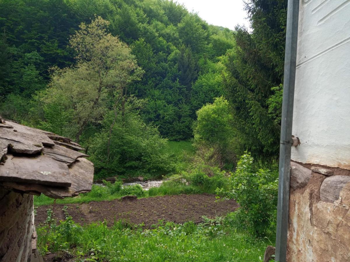 Kuća Panić view 2