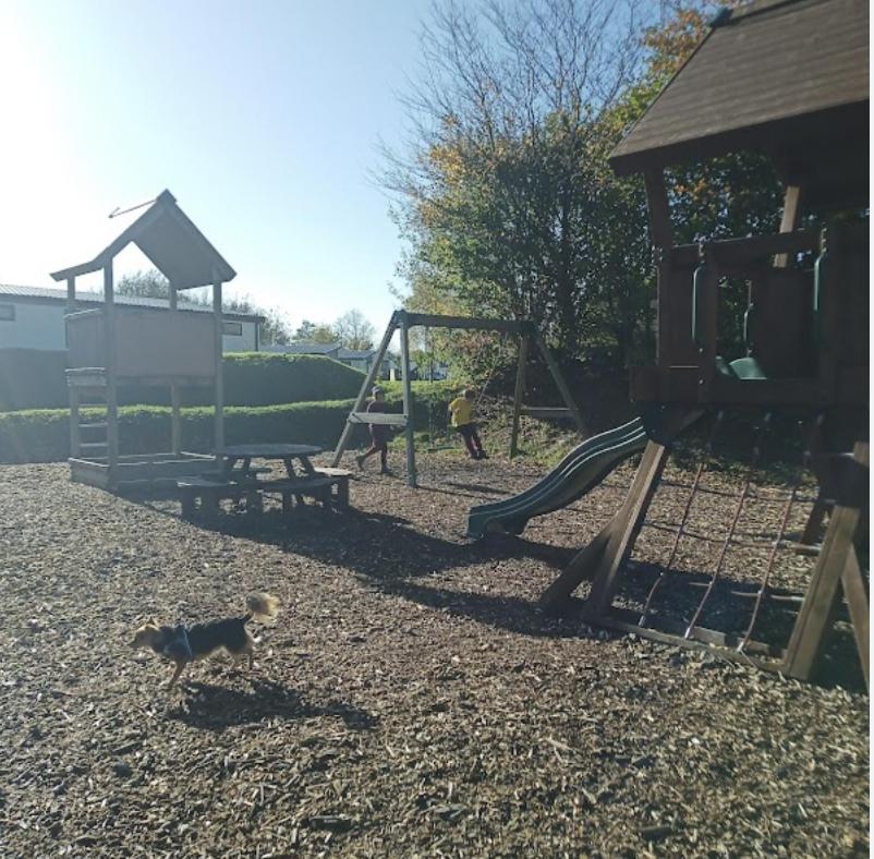 Photo 46