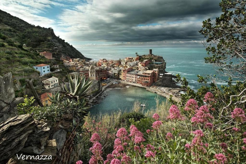 Cinque Terre Bridge