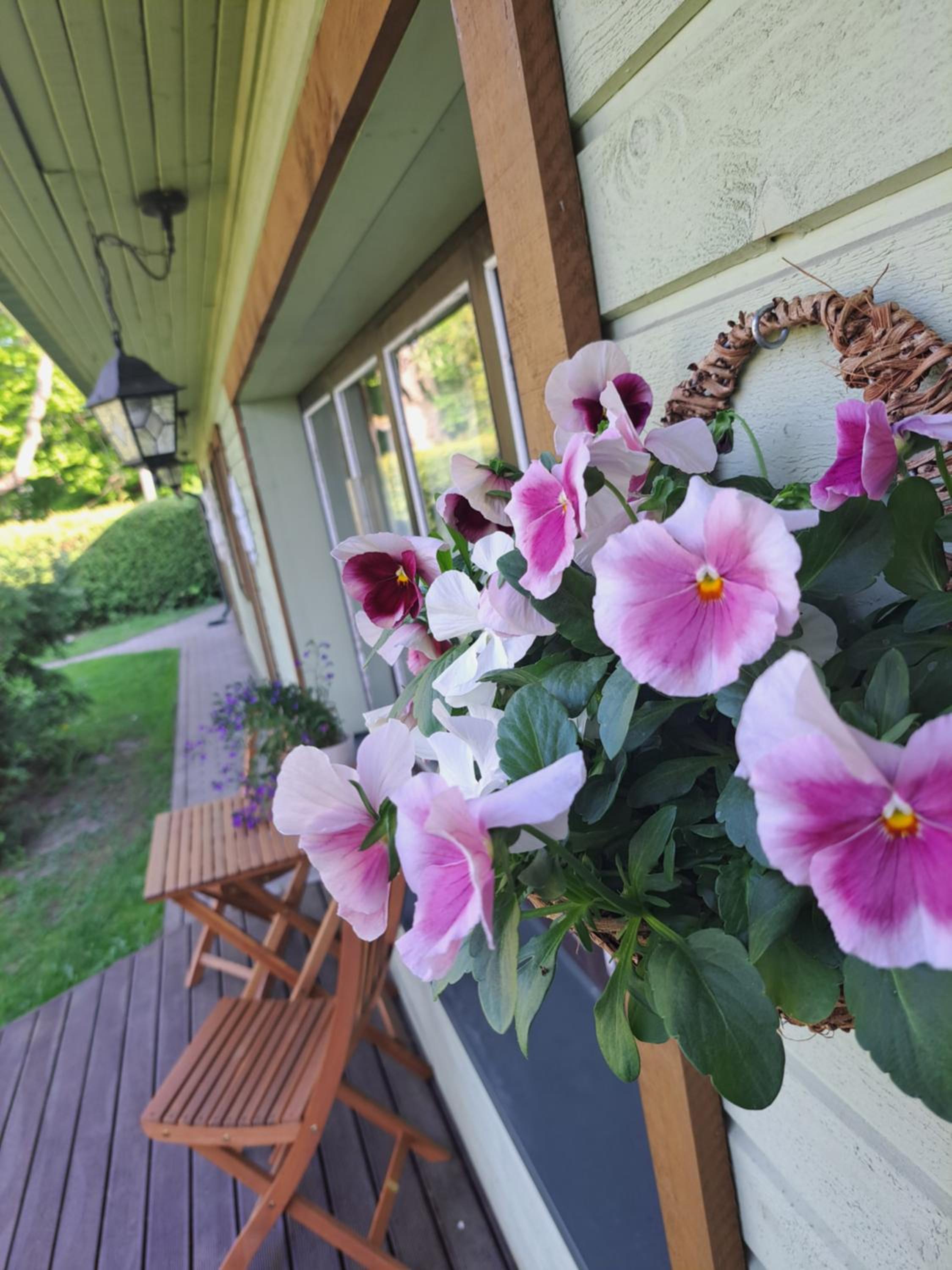 Cosy guesthouse with sauna and outdoor kitchen