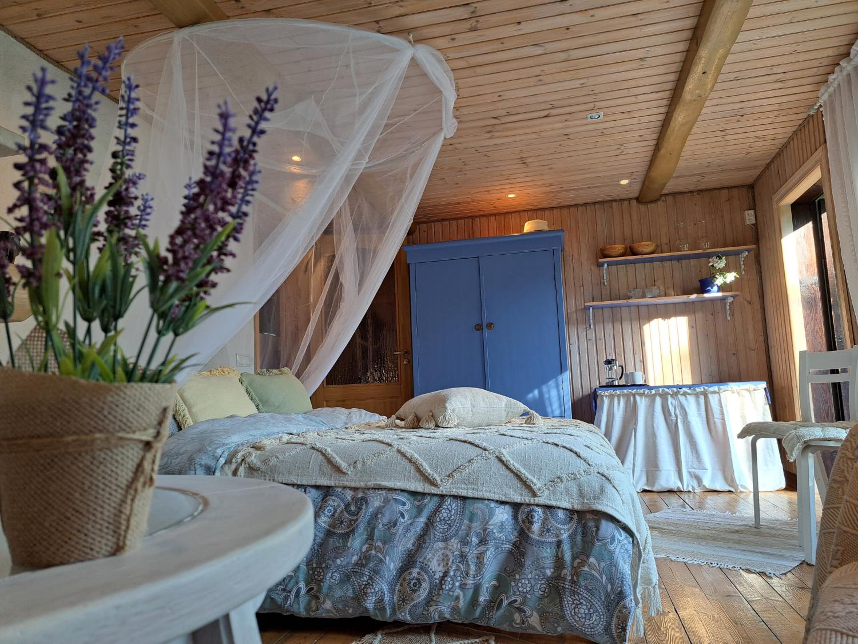 Cosy guesthouse with sauna and outdoor kitchen