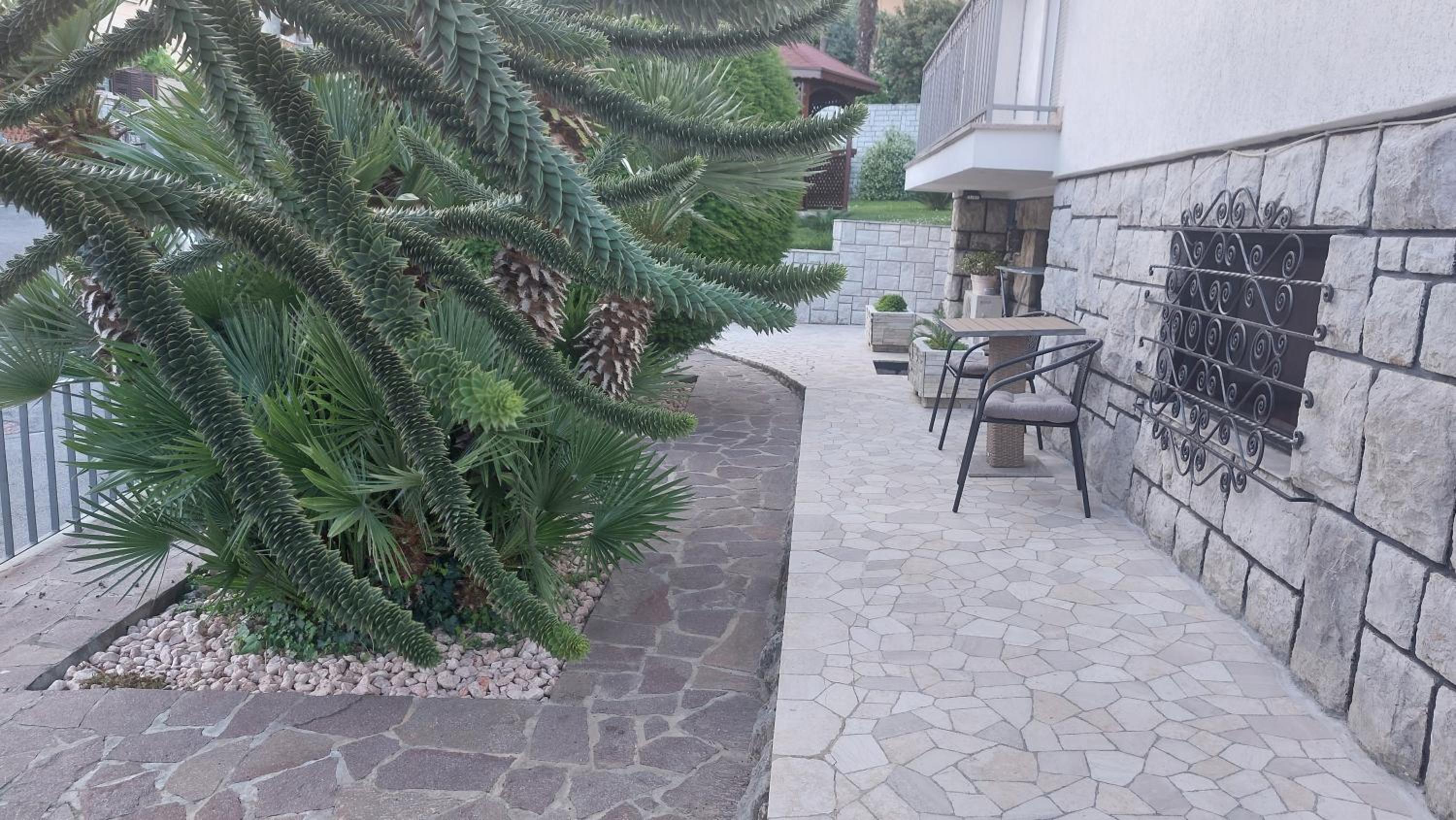 Photo 21