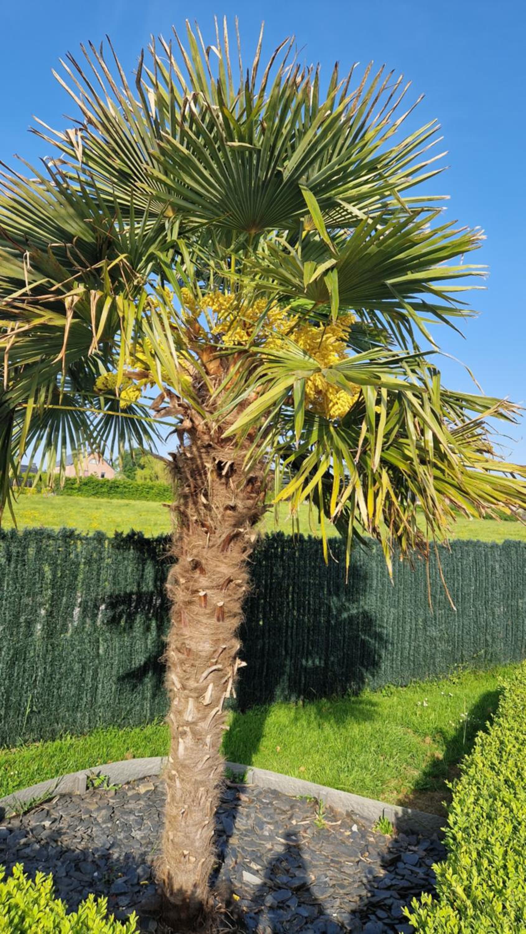 LA VILLA DE SENY , villa de charme avec jardin ,Piscine nature, jacuzzi , petanque, fitness, billard,ping pong,