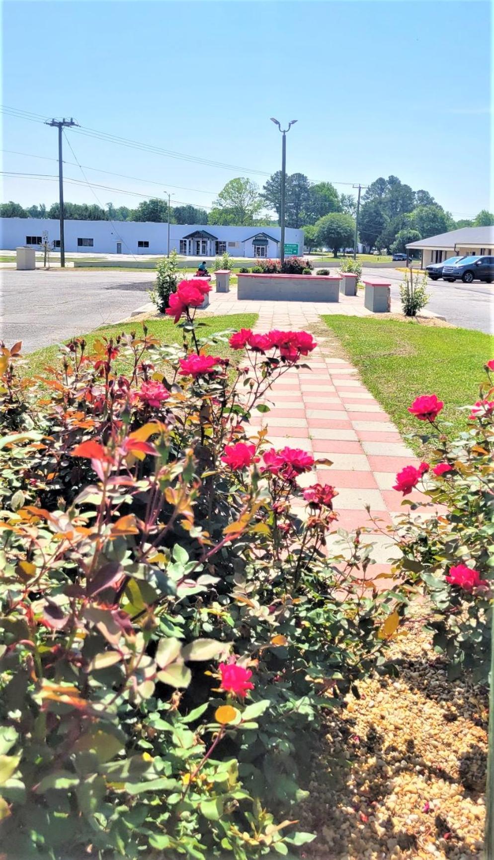 Williamston Inn NC Near Greenville US 64 view 4