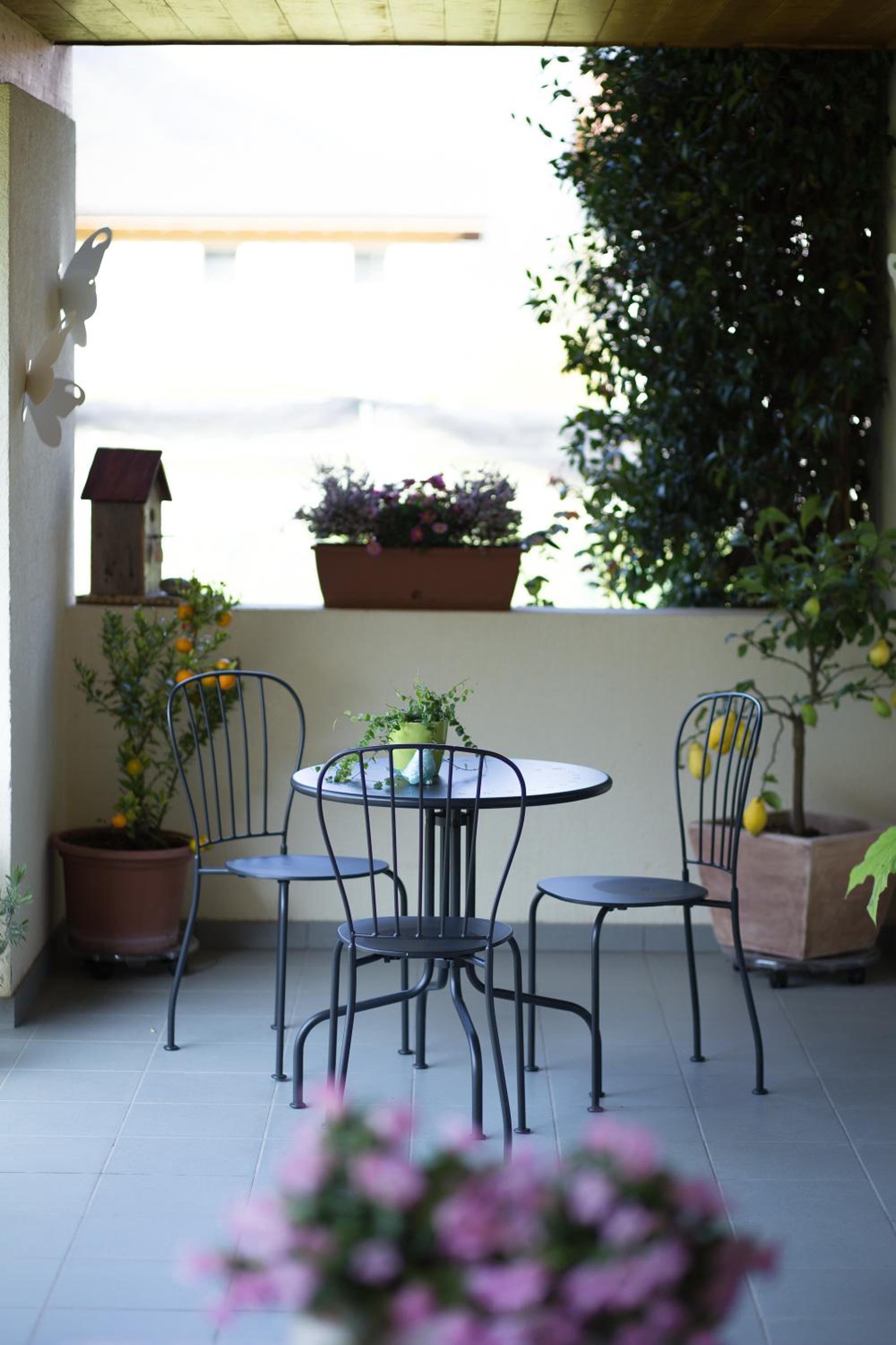 B&B Il Vigneto