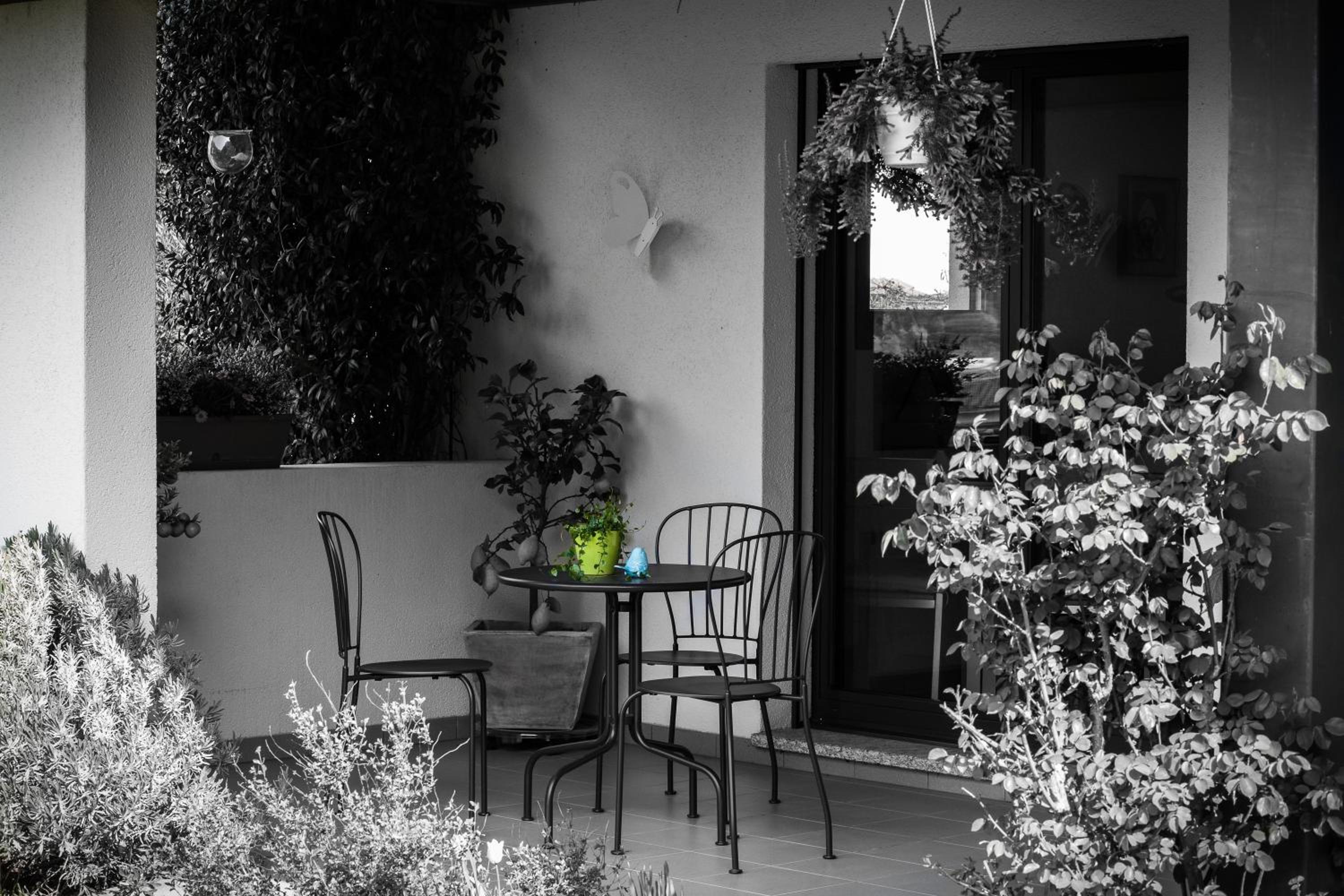 B&B Il Vigneto
