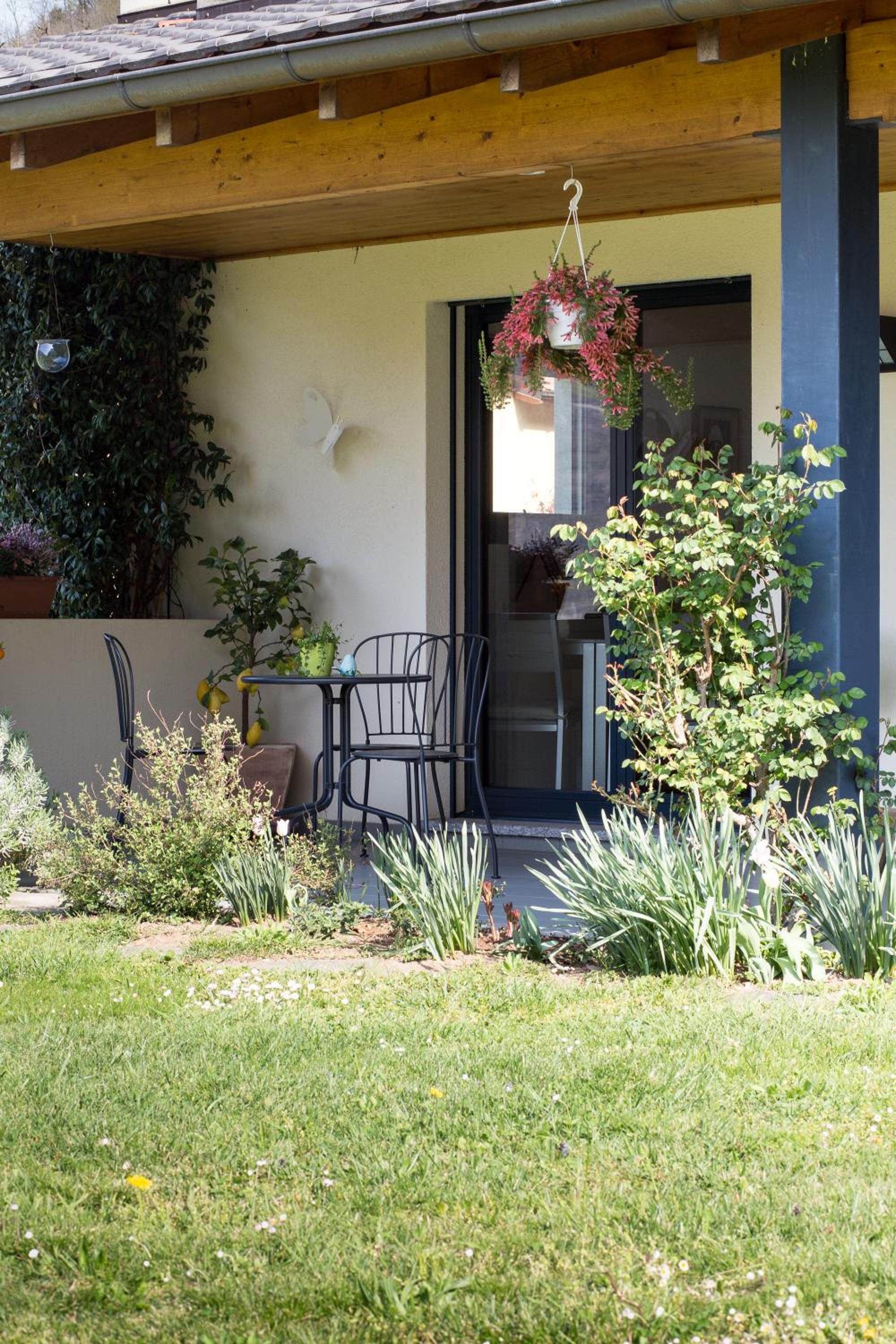 B&B Il Vigneto