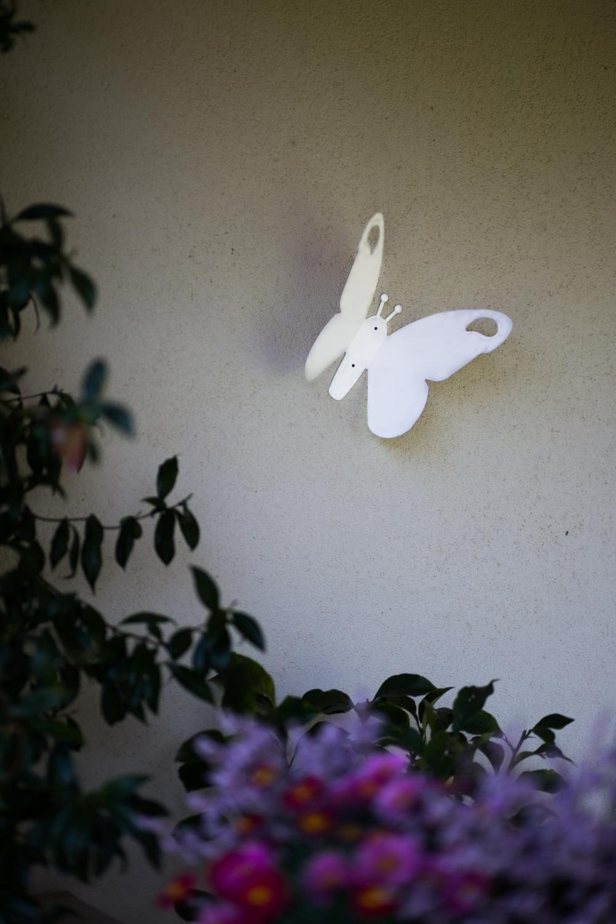 B&B Il Vigneto
