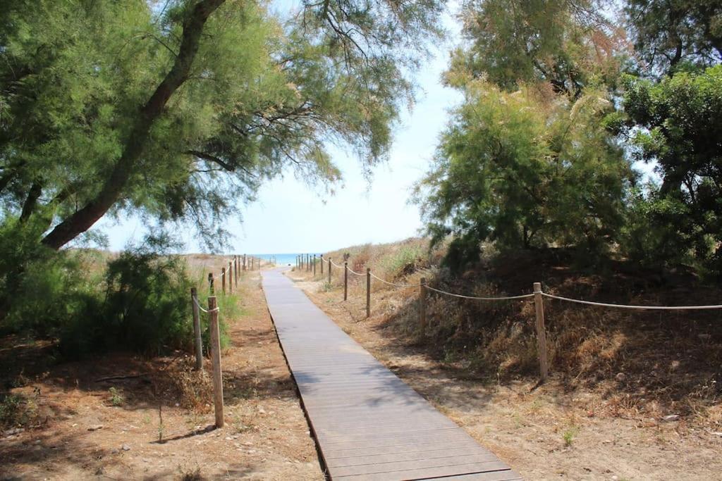 TBC The Beach Corner