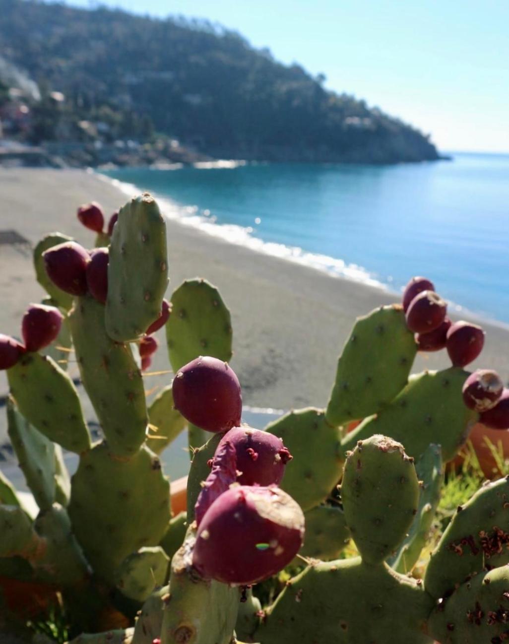 Il Nido da Chiara view 2