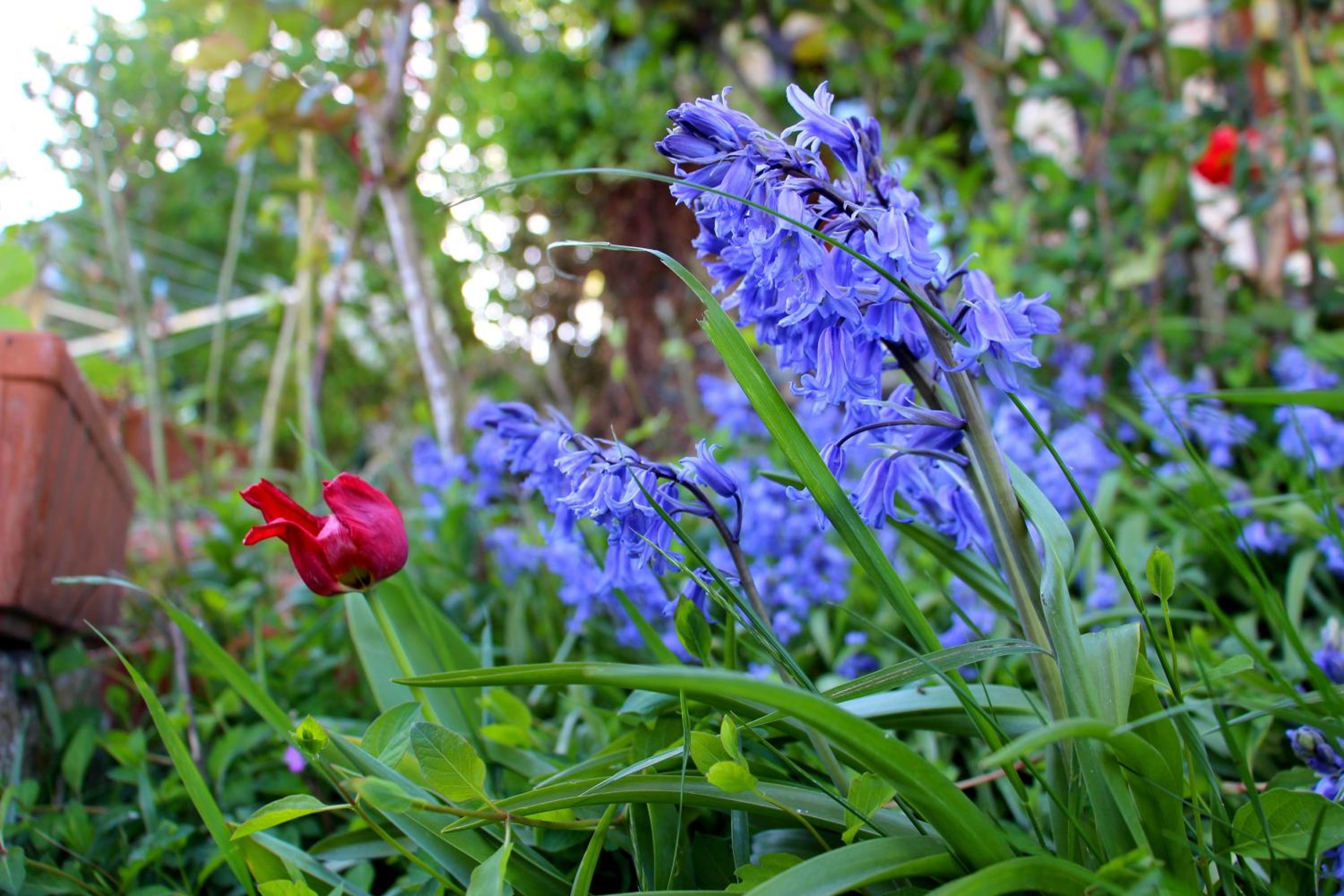 Photo 40