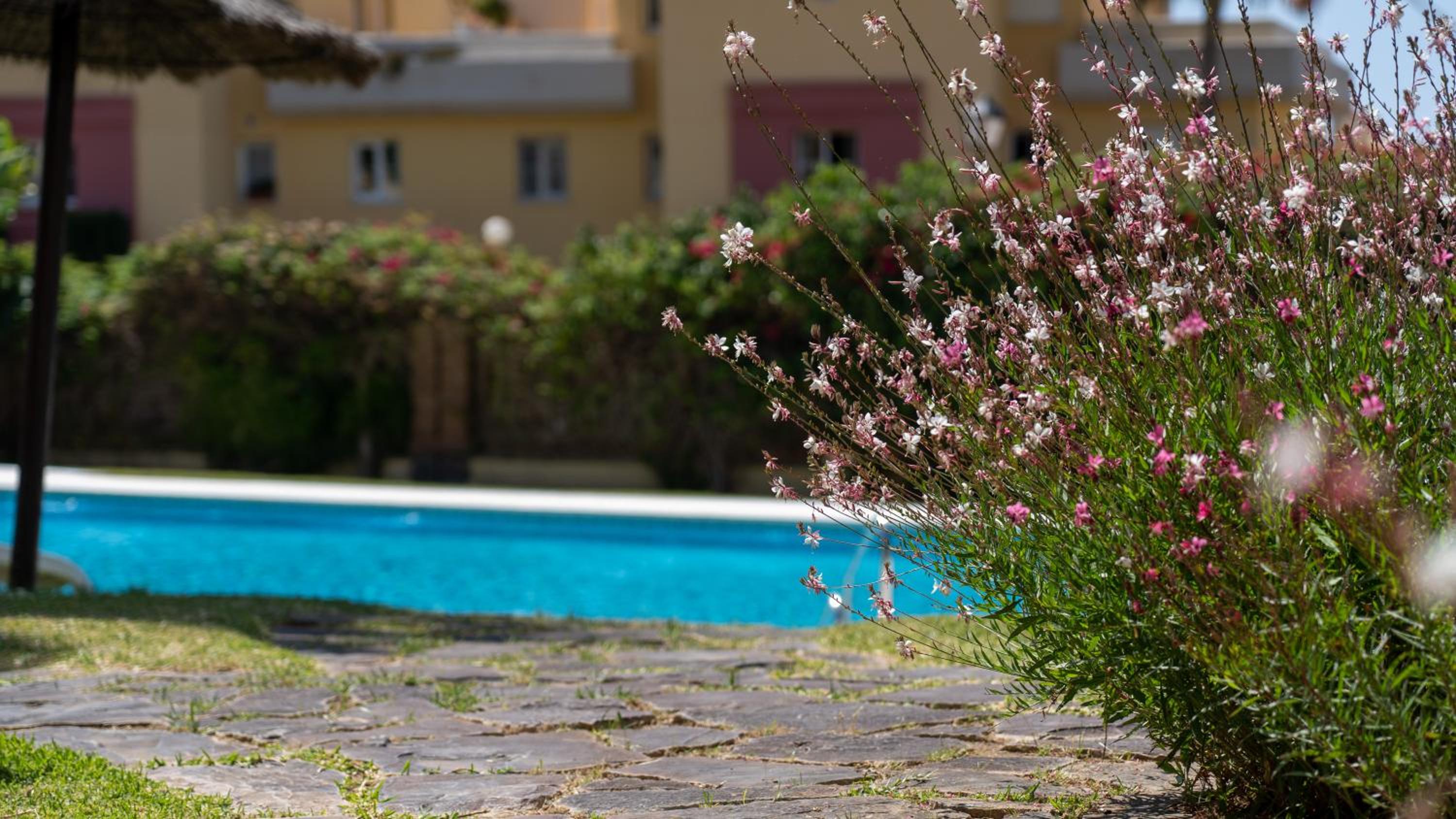 Seaview and big terrace Cabopino