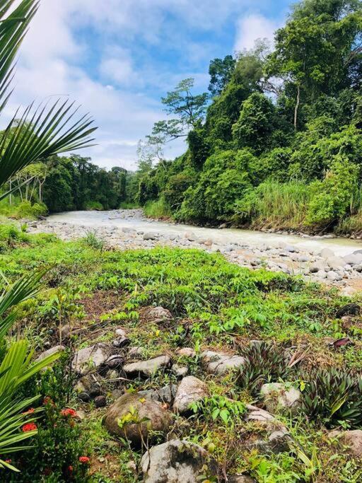 Tortuga Premium Riverfront Jungle Villa with Jacuzzi and Pool