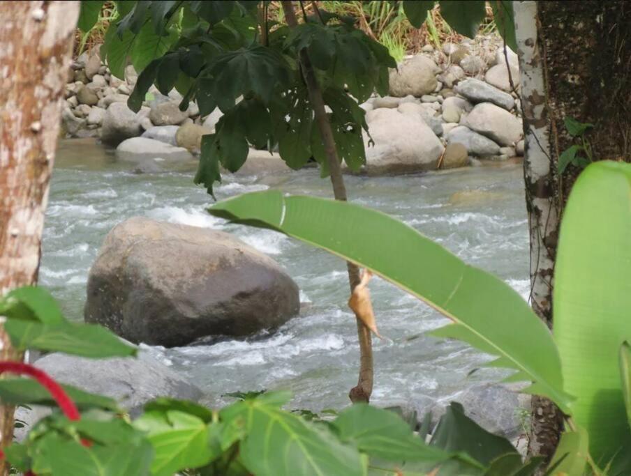 Tortuga Premium Riverfront Jungle Villa with Jacuzzi and Pool