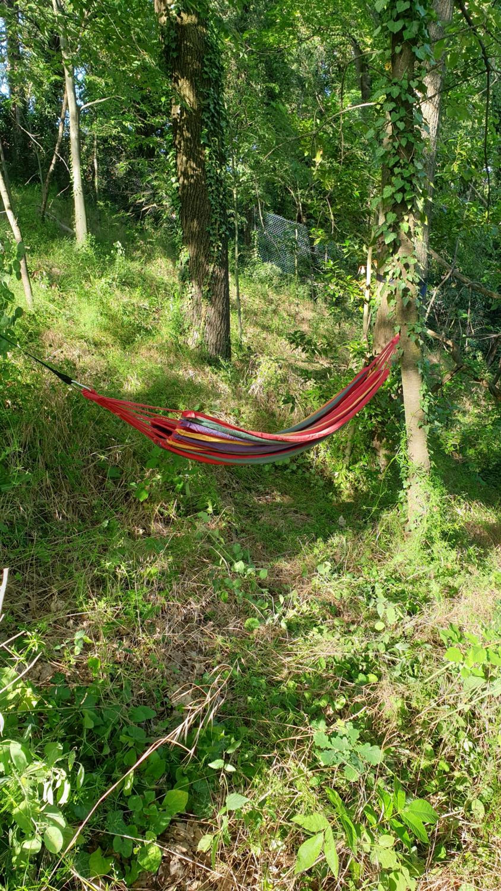 Photo 42