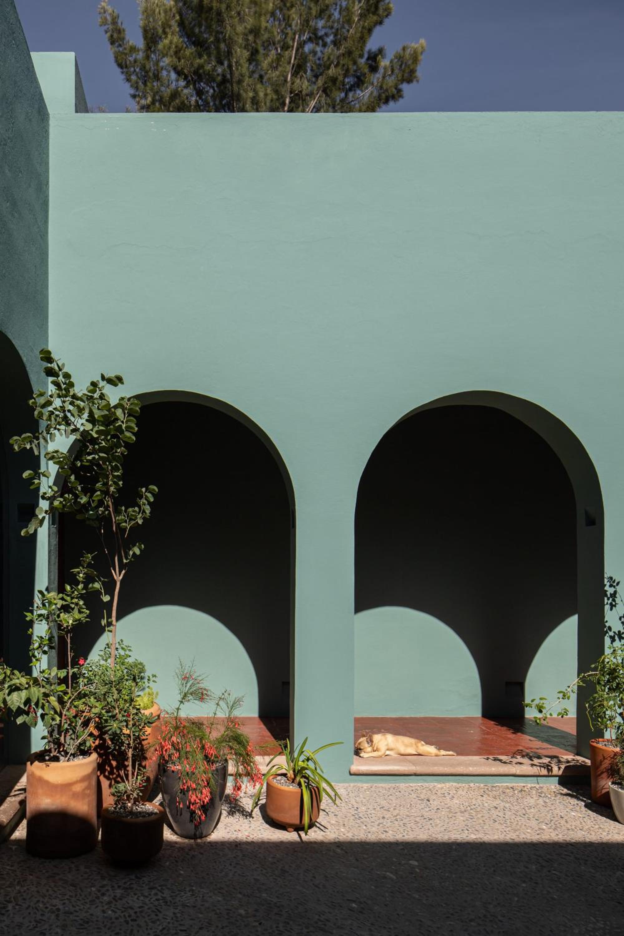 Photo 17