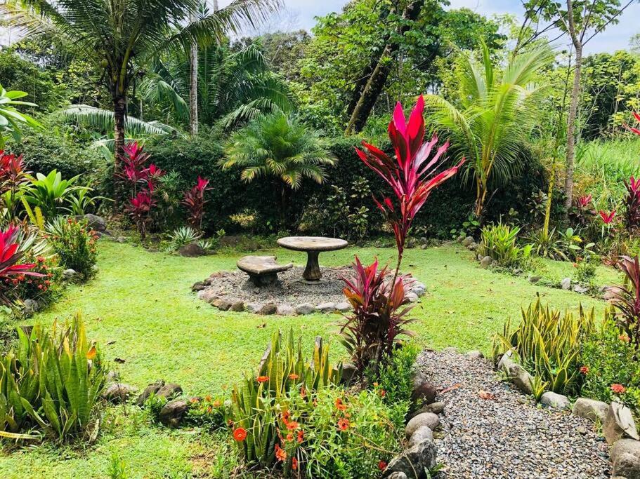 Sloth Premium Riverfront Jungle Villa with Jacuzzi and Pool