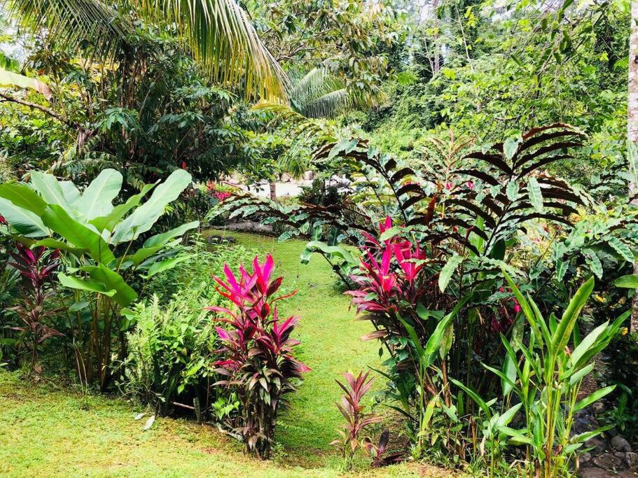 Sloth Premium Riverfront Jungle Villa with Jacuzzi and Pool