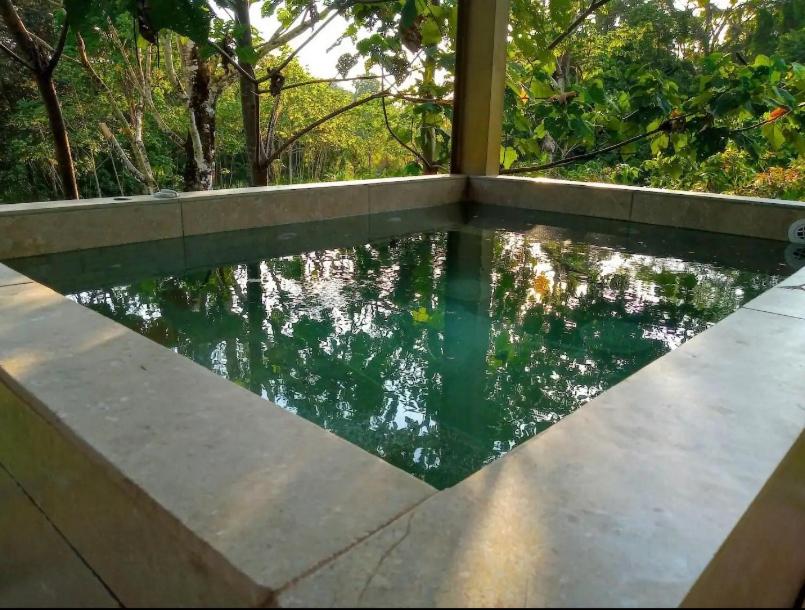 Sloth Premium Riverfront Jungle Villa with Jacuzzi and Pool