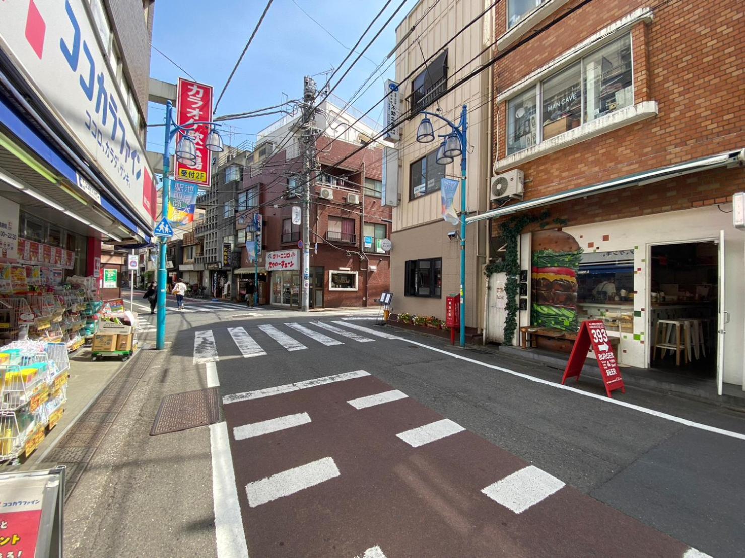 PLAZA IKEJIRI 201
