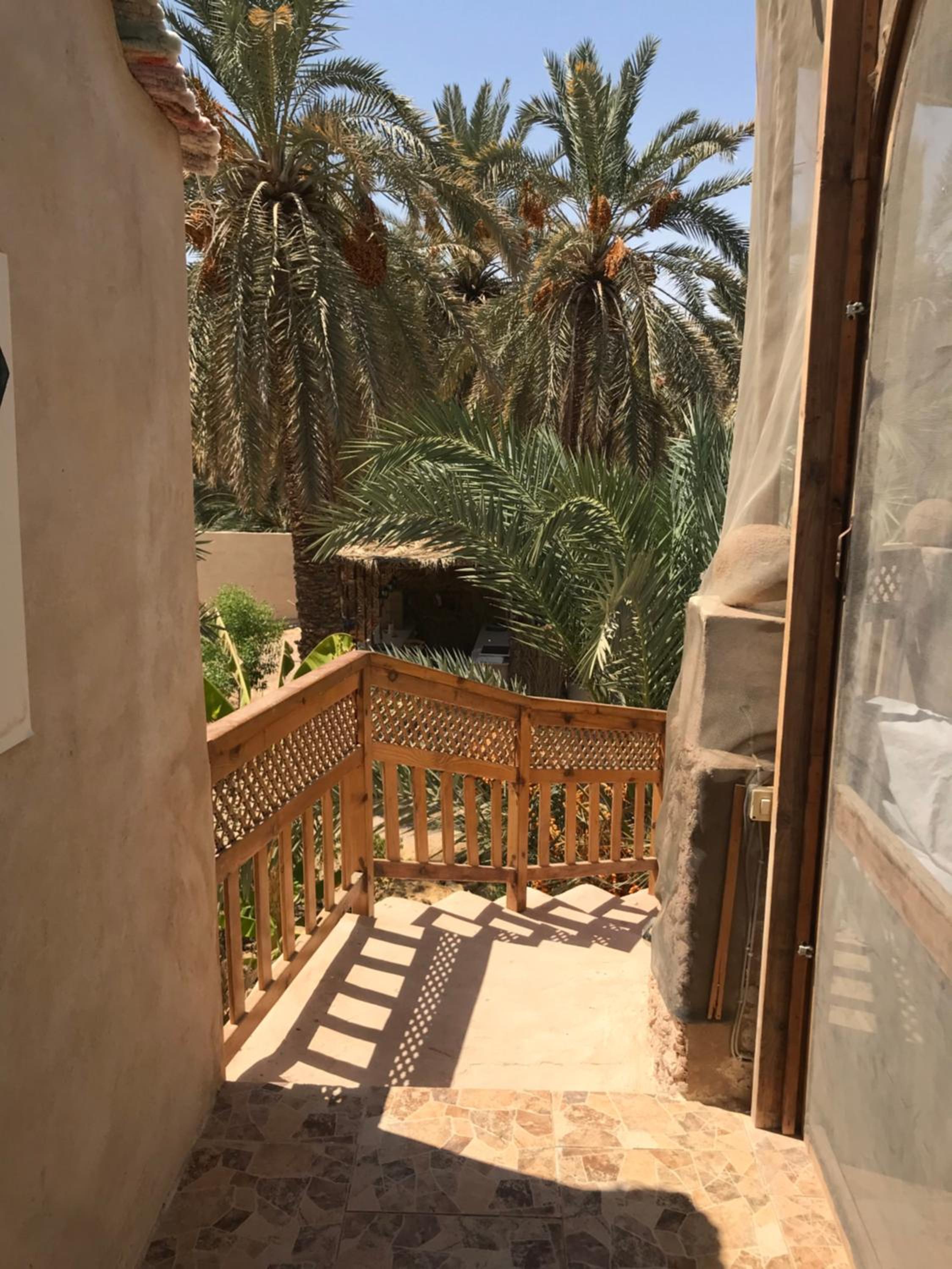 Siwa Spot - March is one of the best months in Siwa, with beautiful spring weather, pleasant sunny days, cooler peaceful nights, and a quiet oasis atmosphe