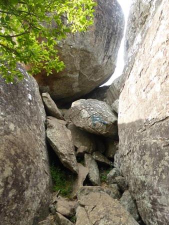 Photo 36