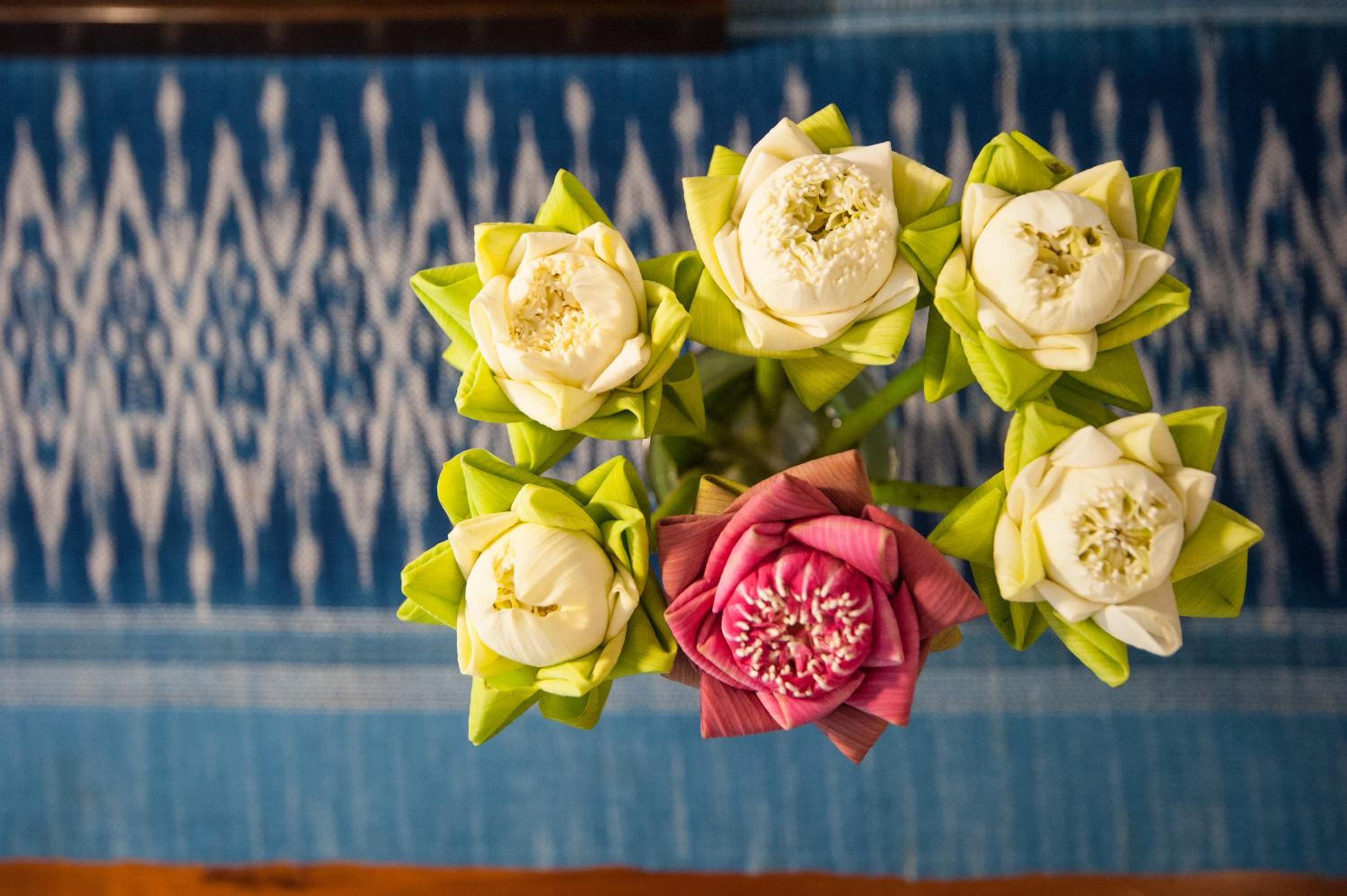 Khmer Surin Boutique Guesthouse