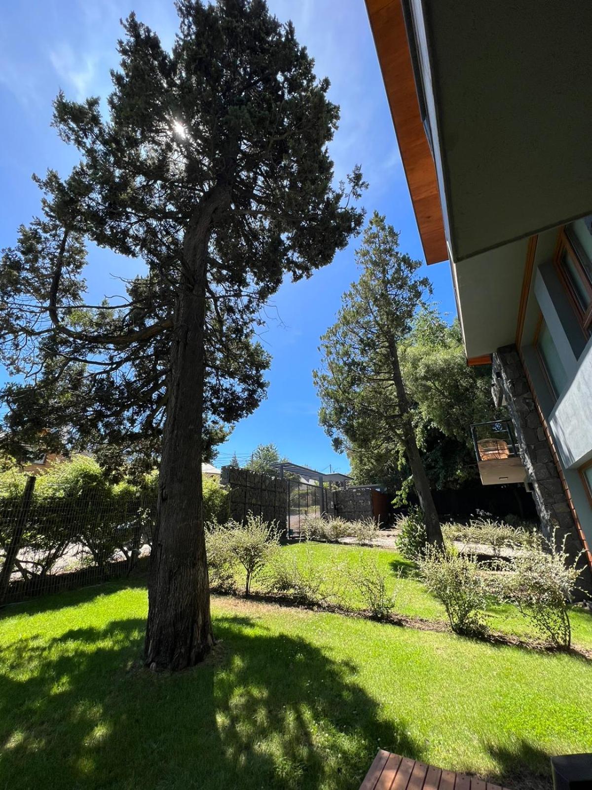 Alberti Apartment