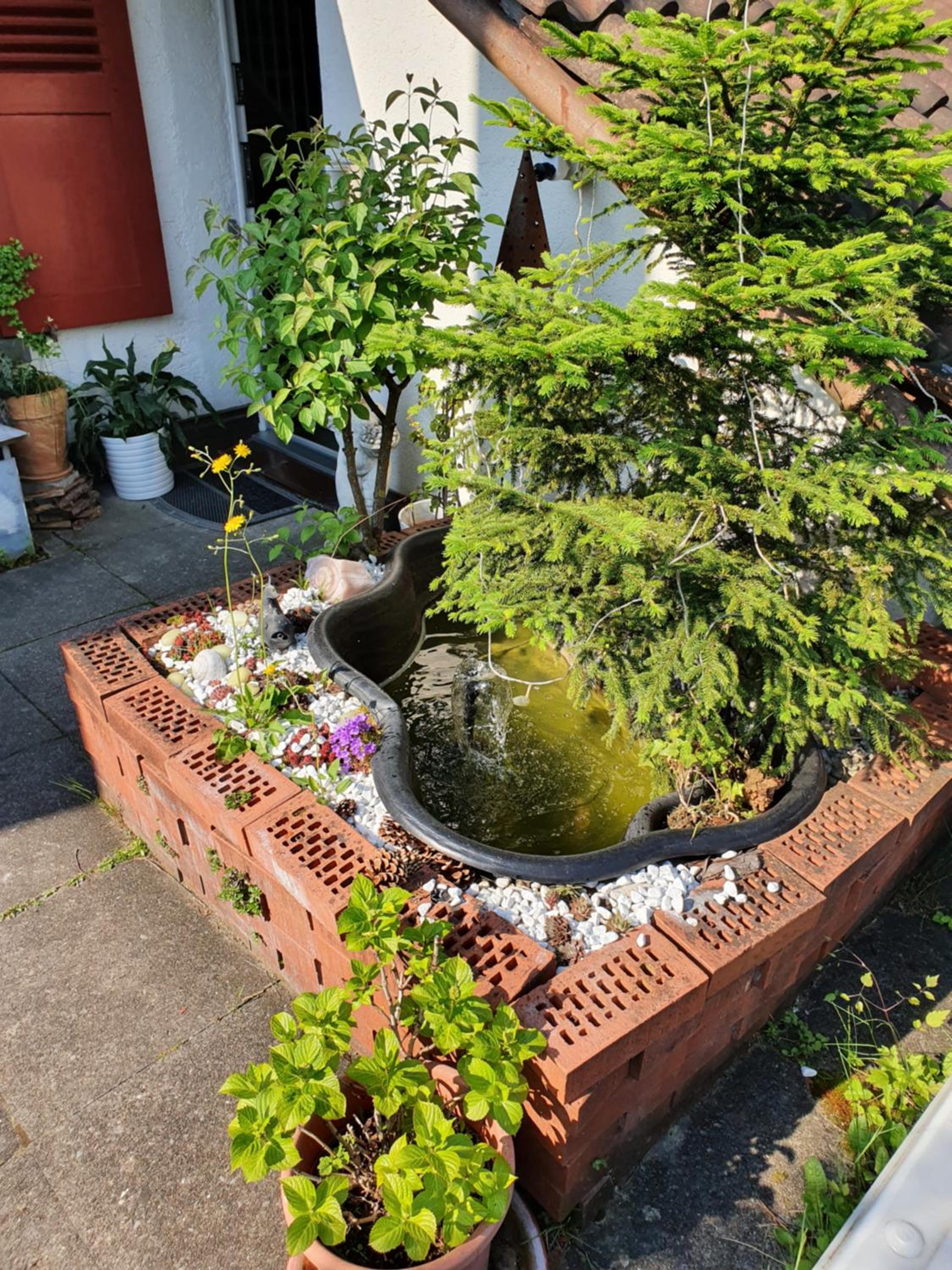 BnB Haus Weibel view 5