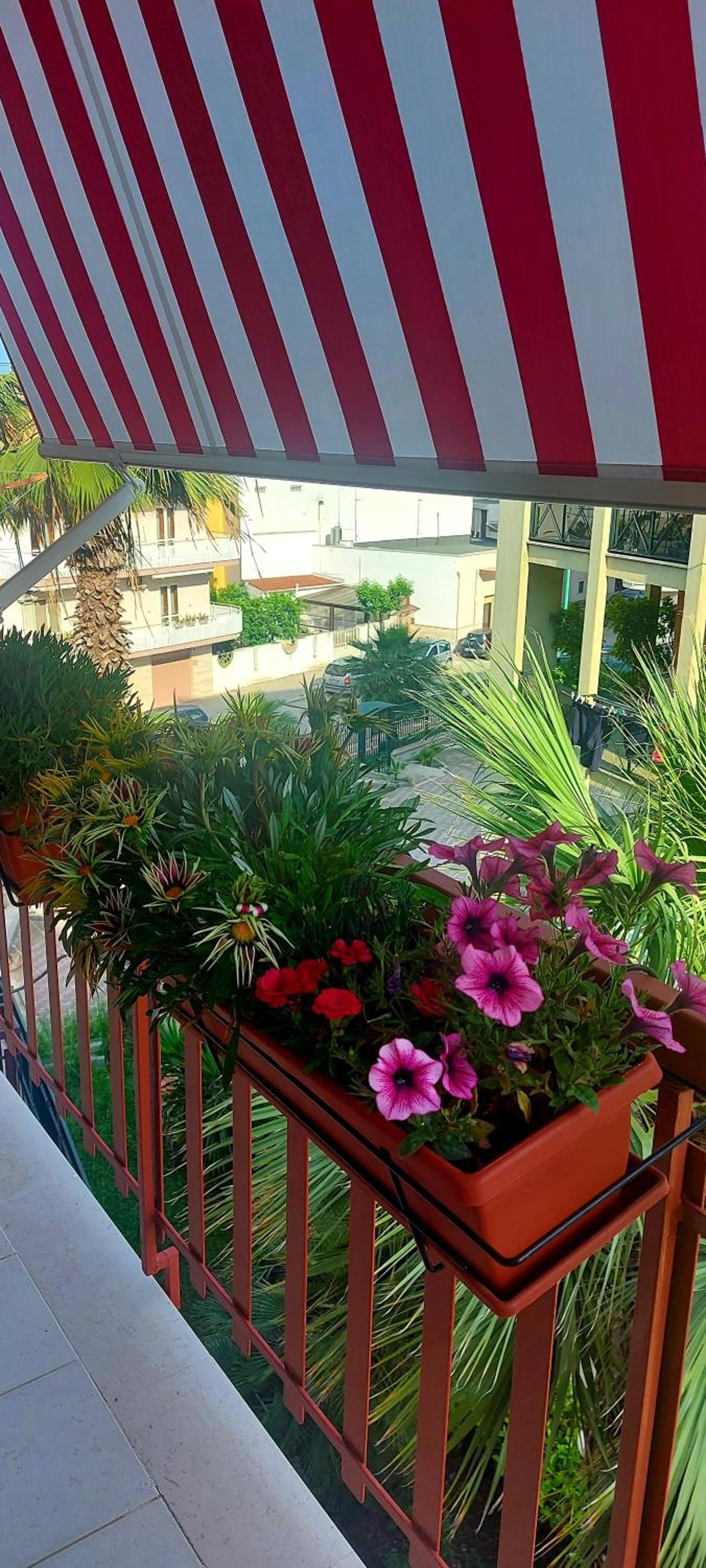 VALERIA'S HOUSE view 2