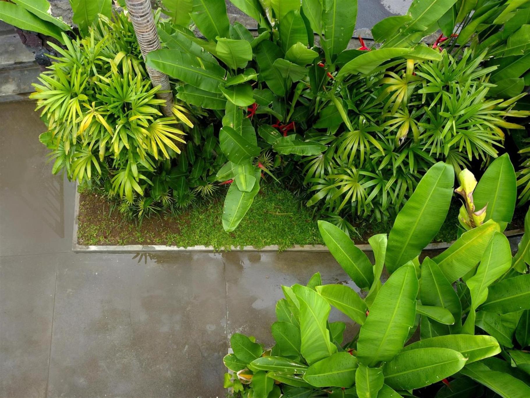 Sanora Villa Sanur by Ini Vie Hospitality view 5
