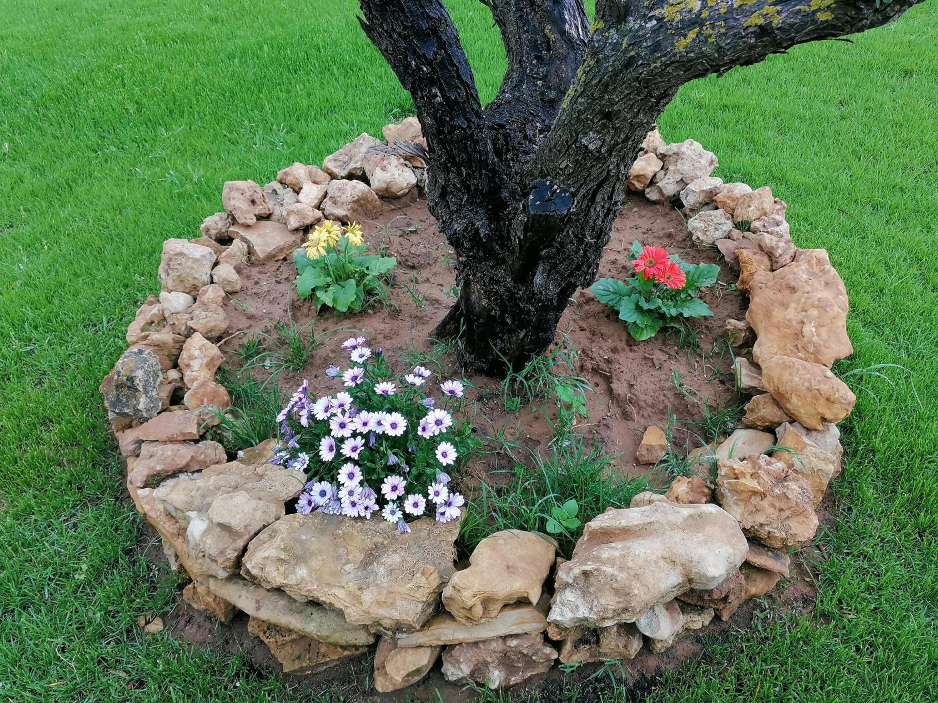 Photo 54